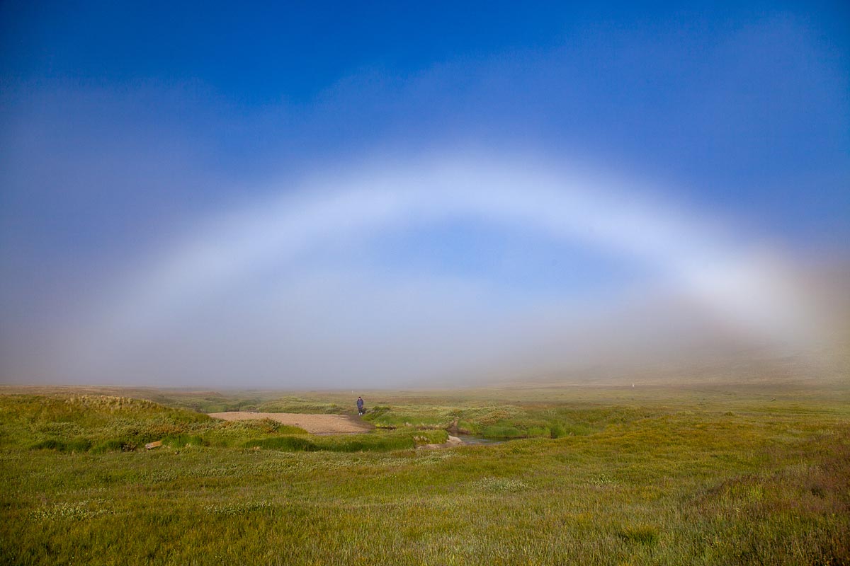 Тур на плато Укок 6 дней (8/26)