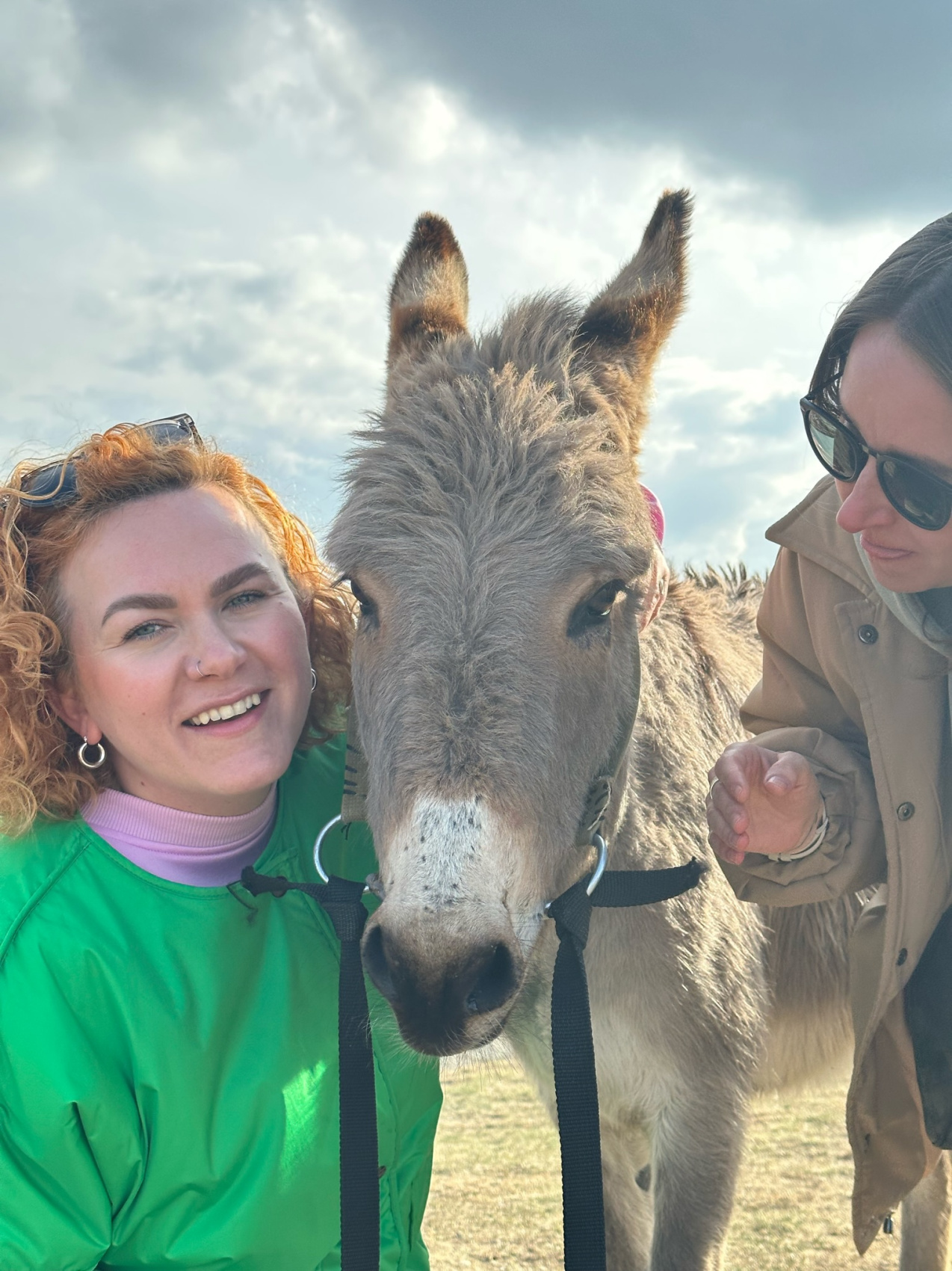 Счастье в горах Дагестана 5 дней  Всё включено! (16/52)