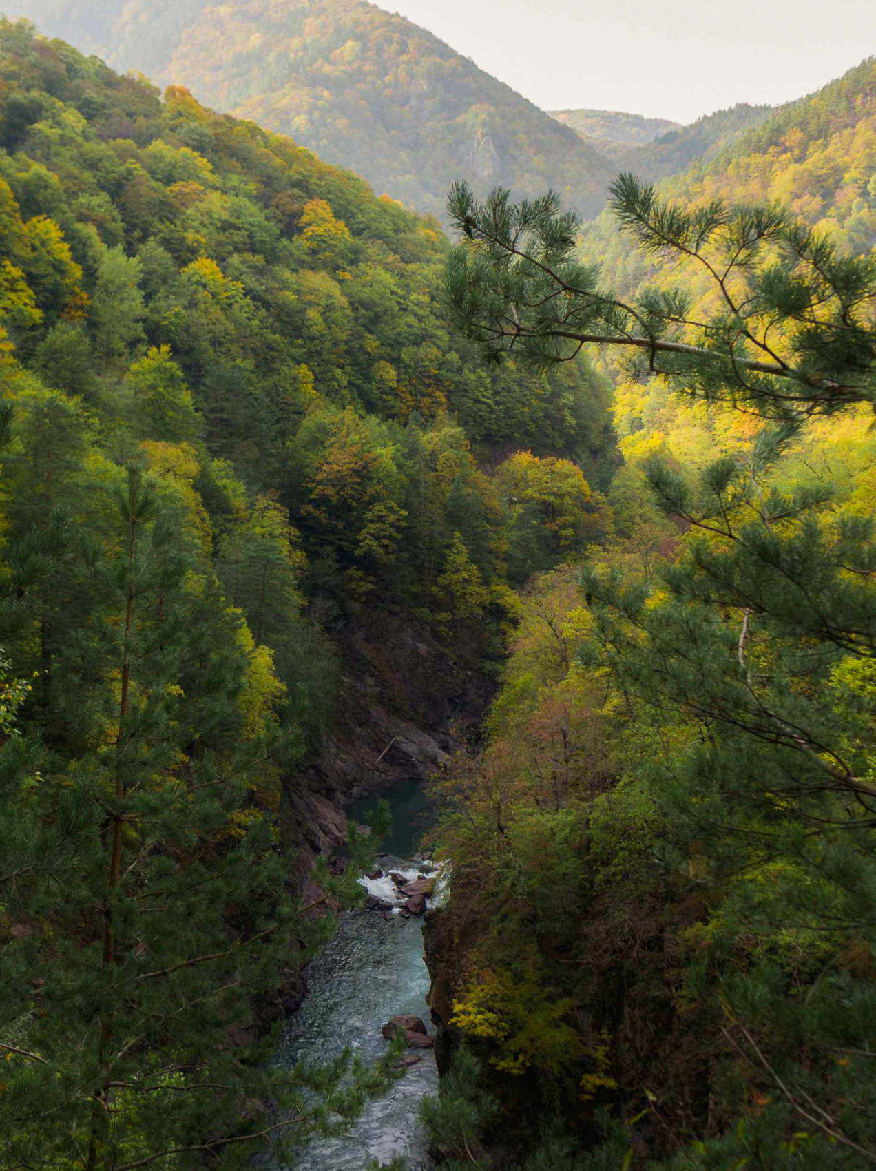 Адыгея: Перезагрузка (7/31)
