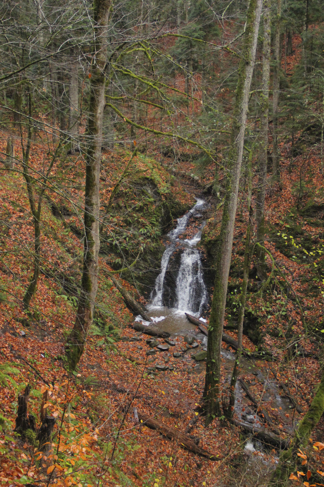 Тур Водная Ривьера. Лайт (7/27)
