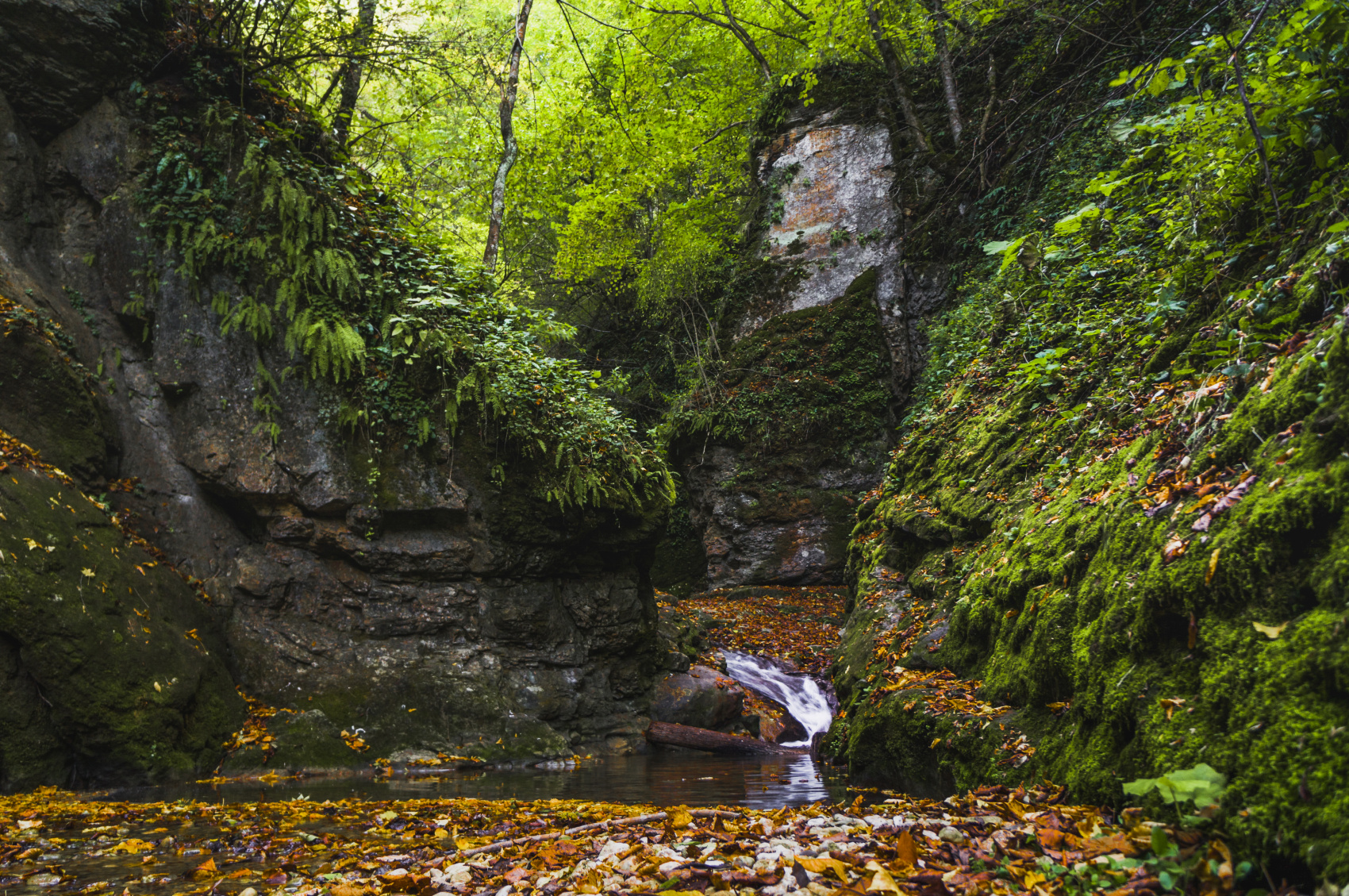 Тур Водная Ривьера. Лайт (13/27)