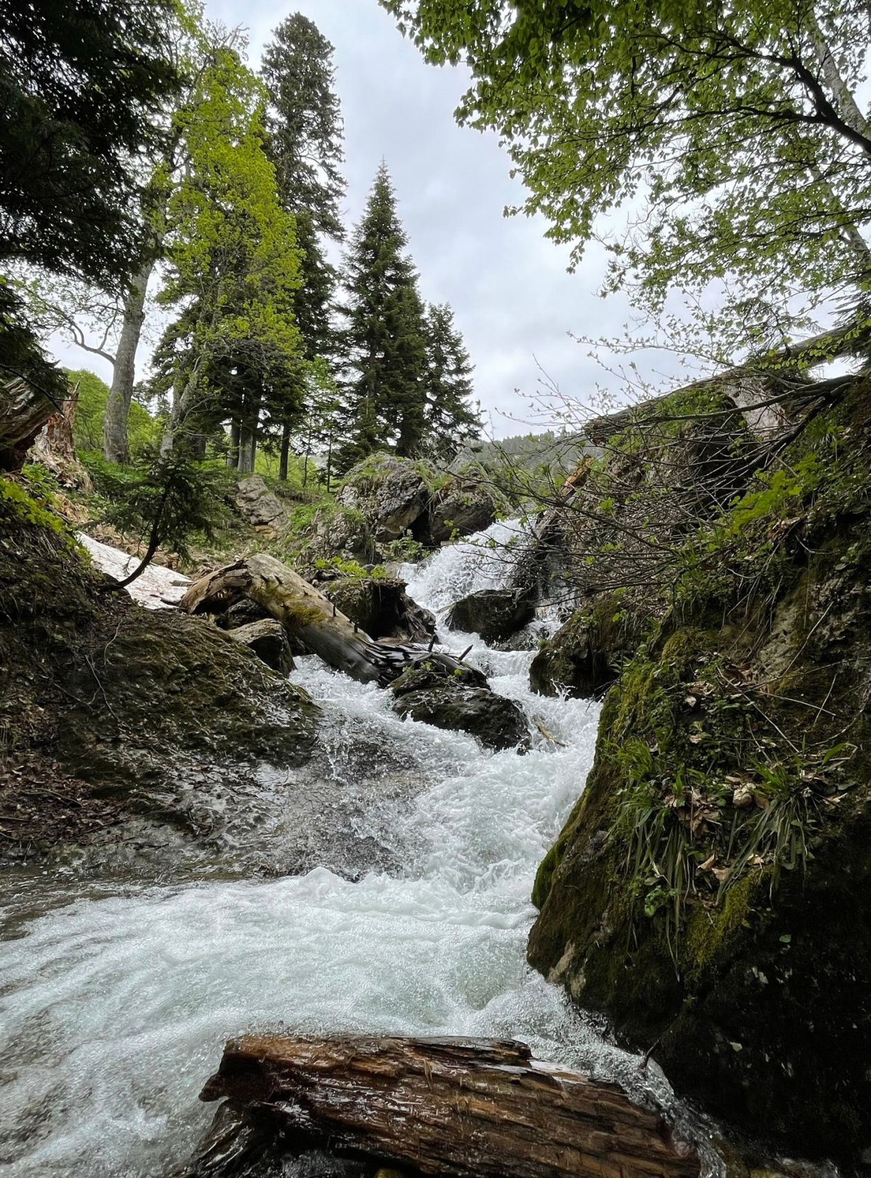 Верхом по Адыгее (5/9)