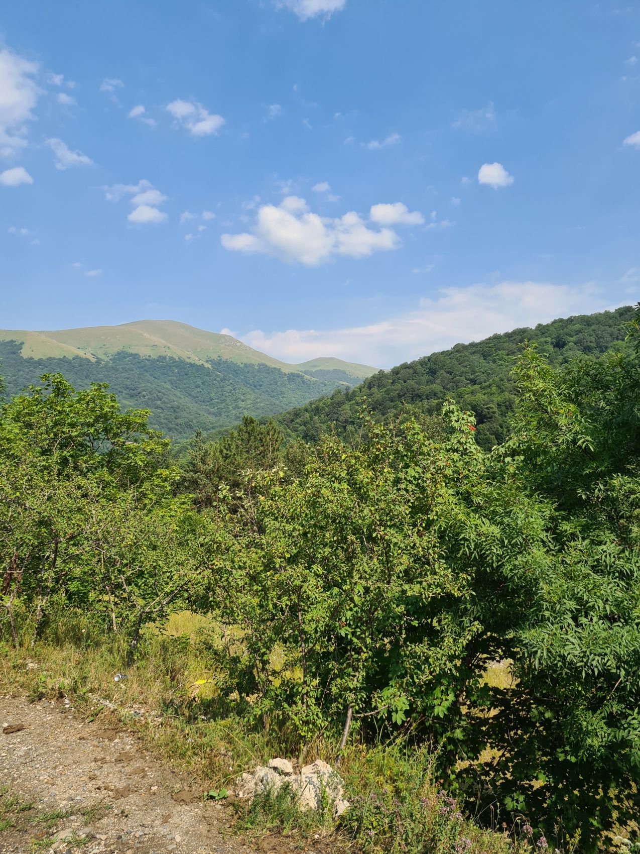 Вся Армения за неделю: кольцевой уютный тур от столицы до Татева (23/38)