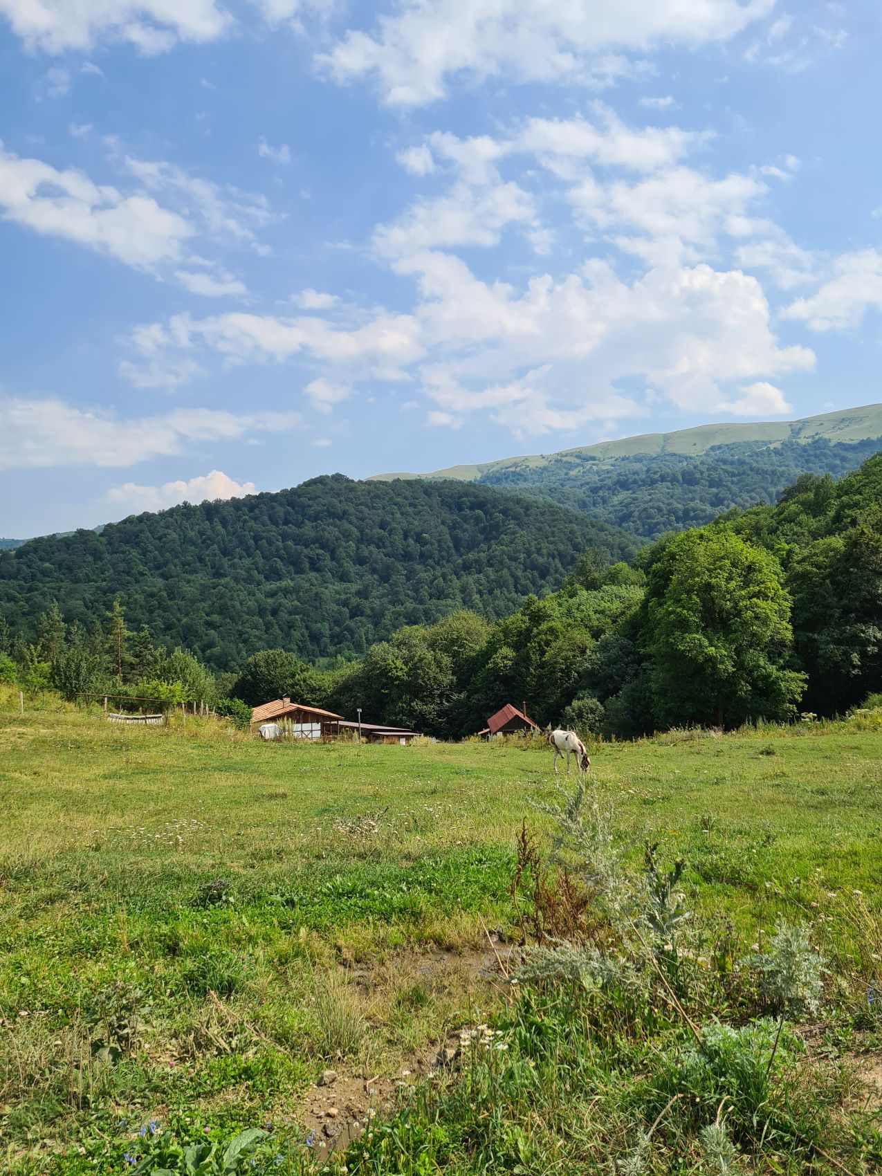 Вся Армения за неделю: кольцевой уютный тур от столицы до Татева (26/38)