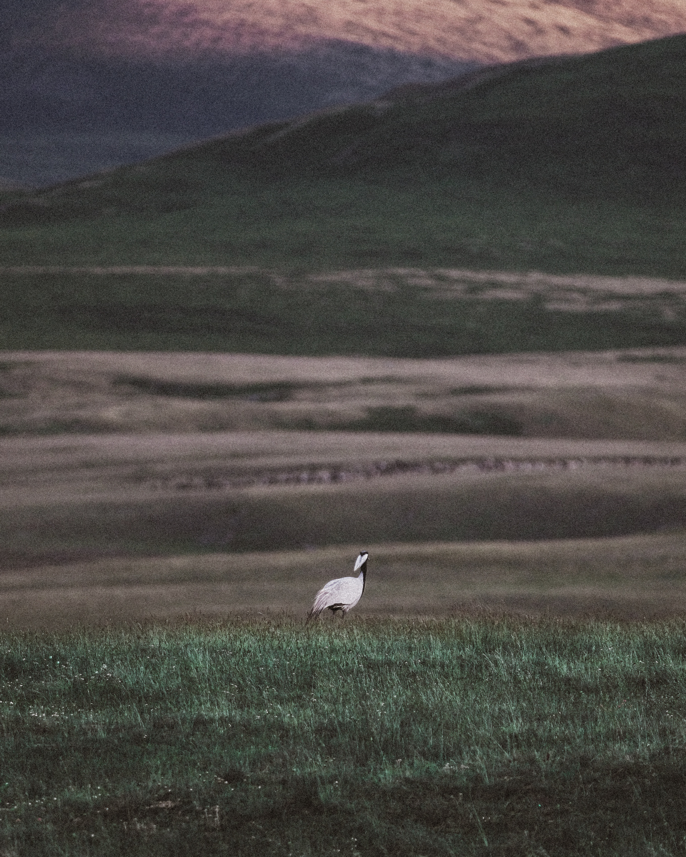 Майские Коротышки! (27/49)