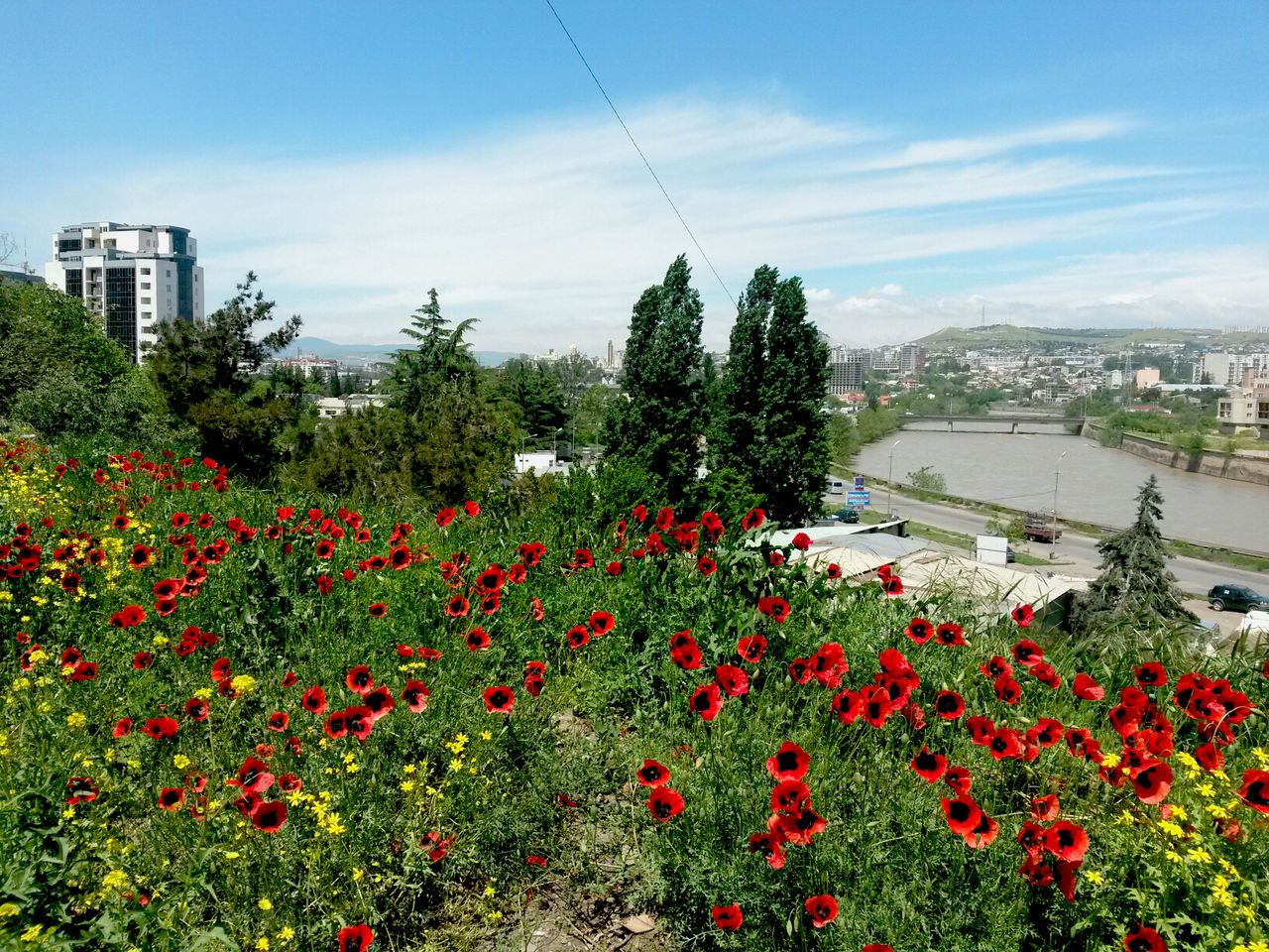 Грузия. Новая История любви (22/25)