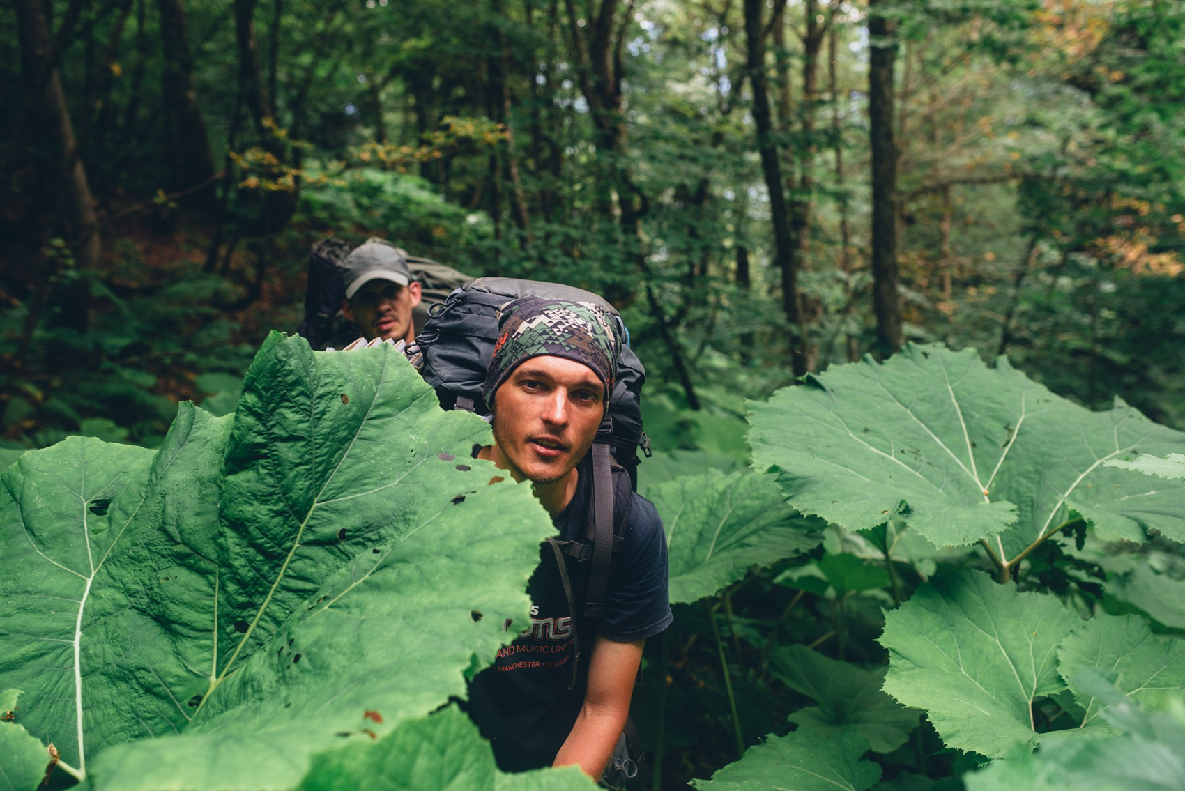 Джунгли, перевалы и горные вершины Арабики. Поход по нетуристической части Абхазии (6/45)