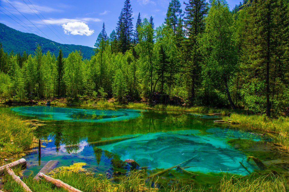 Алтайский Марс и цветение маральника (7/15)