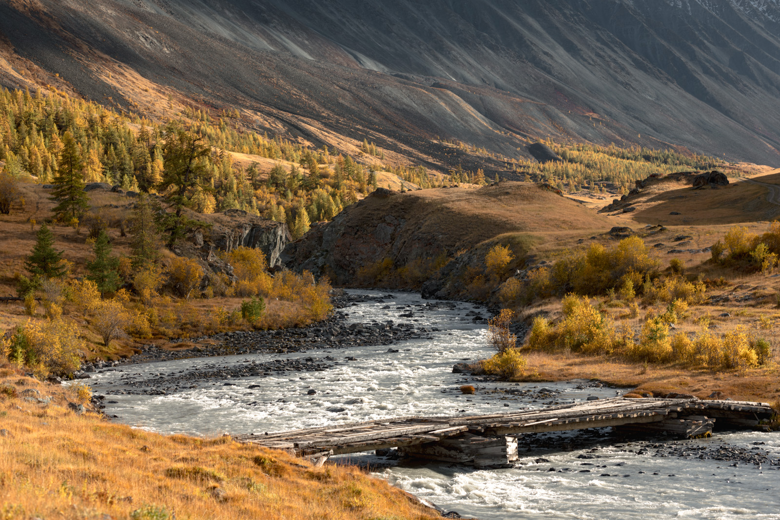 Прогулки по долинам Южно-Чуйского хребта (23/55)