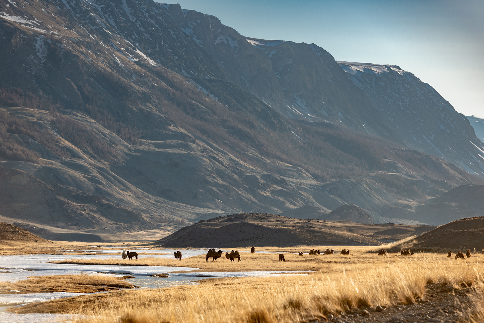 Прогулки по долинам Южно-Чуйского хребта (16/55)