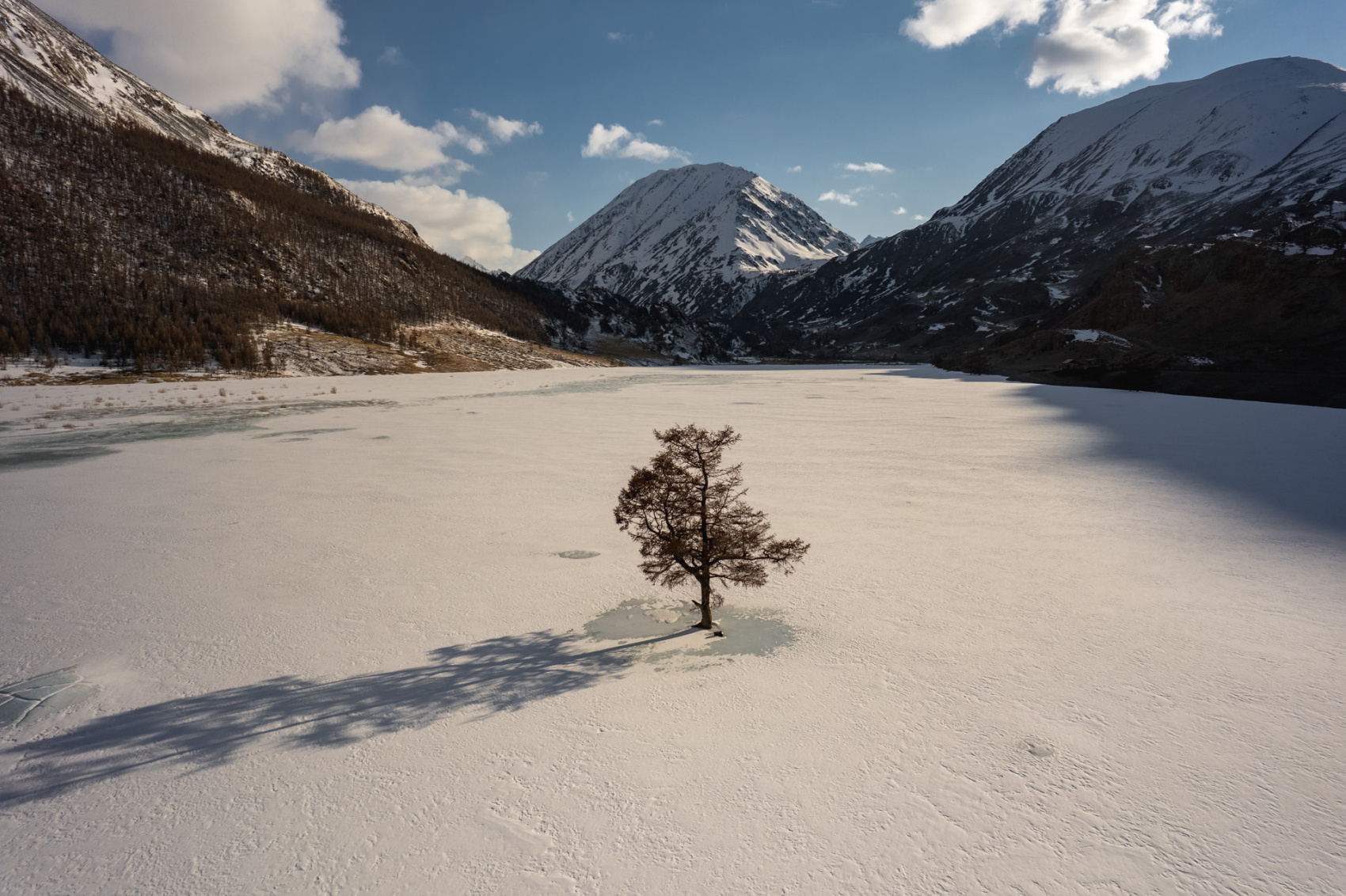Прогулки по долинам Южно-Чуйского хребта (26/55)
