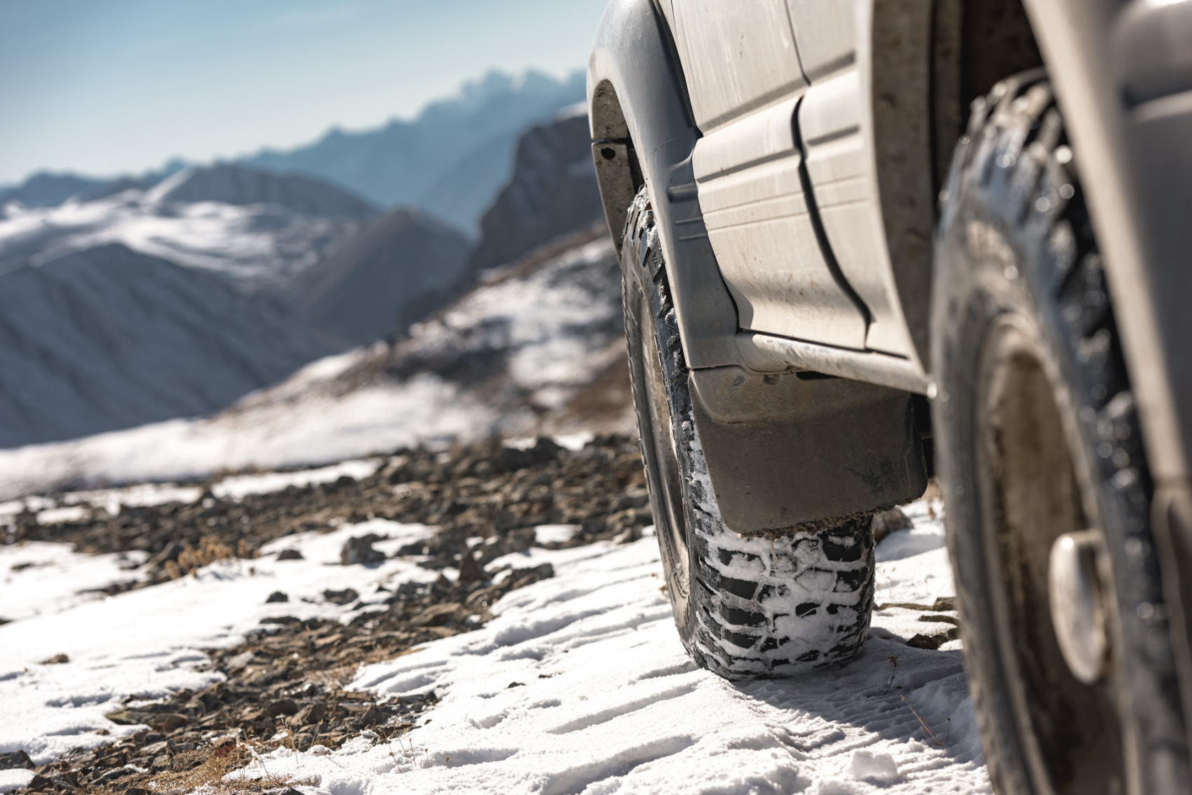 Прогулки по долинам Южно-Чуйского хребта (15/55)