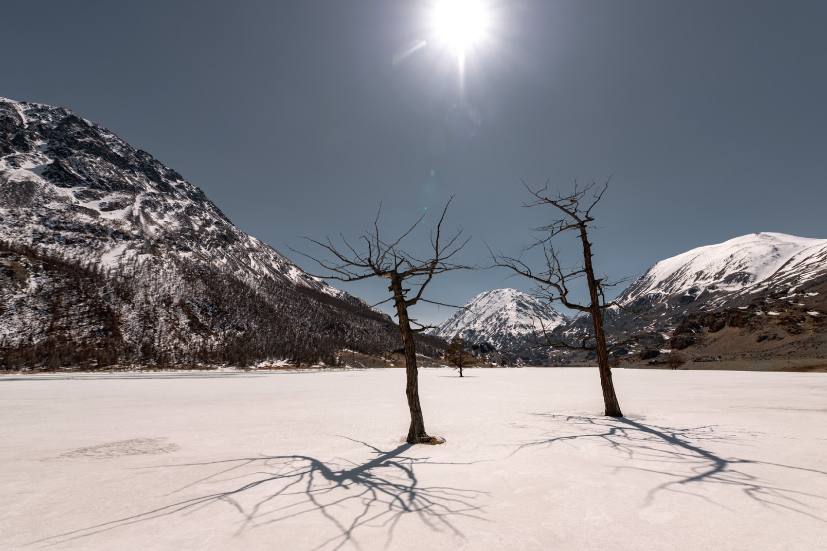 Прогулки по долинам Южно-Чуйского хребта (29/55)