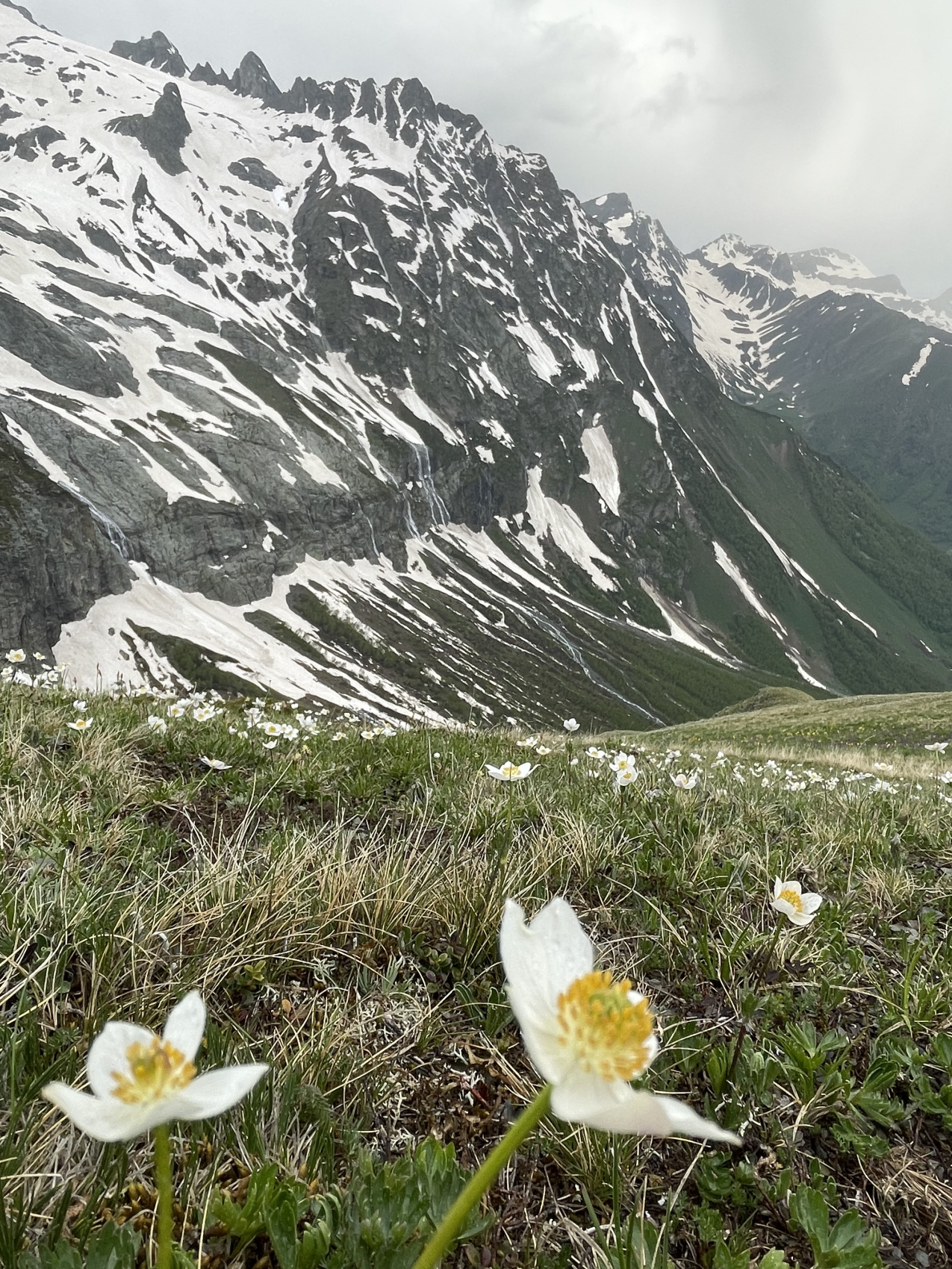 7-дневный конный тур По Кавказским горам в Архызе (8/42)