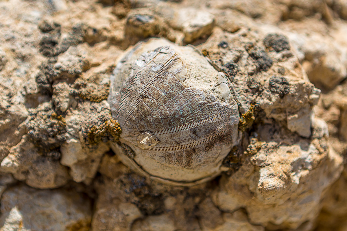 Великолепный Мангистау. Путешествие на другую планету (9/135)