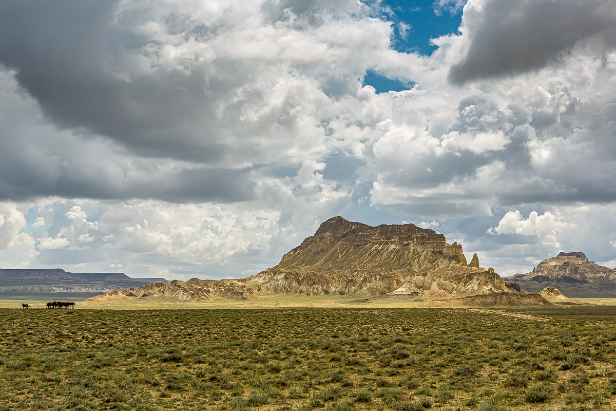 Великолепный Мангистау. Путешествие на другую планету (15/135)