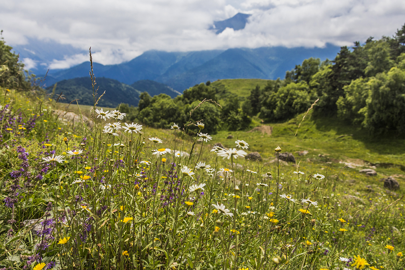 Активный тур. Идем в горы за историей и вдохновением Кавказа (21/40)