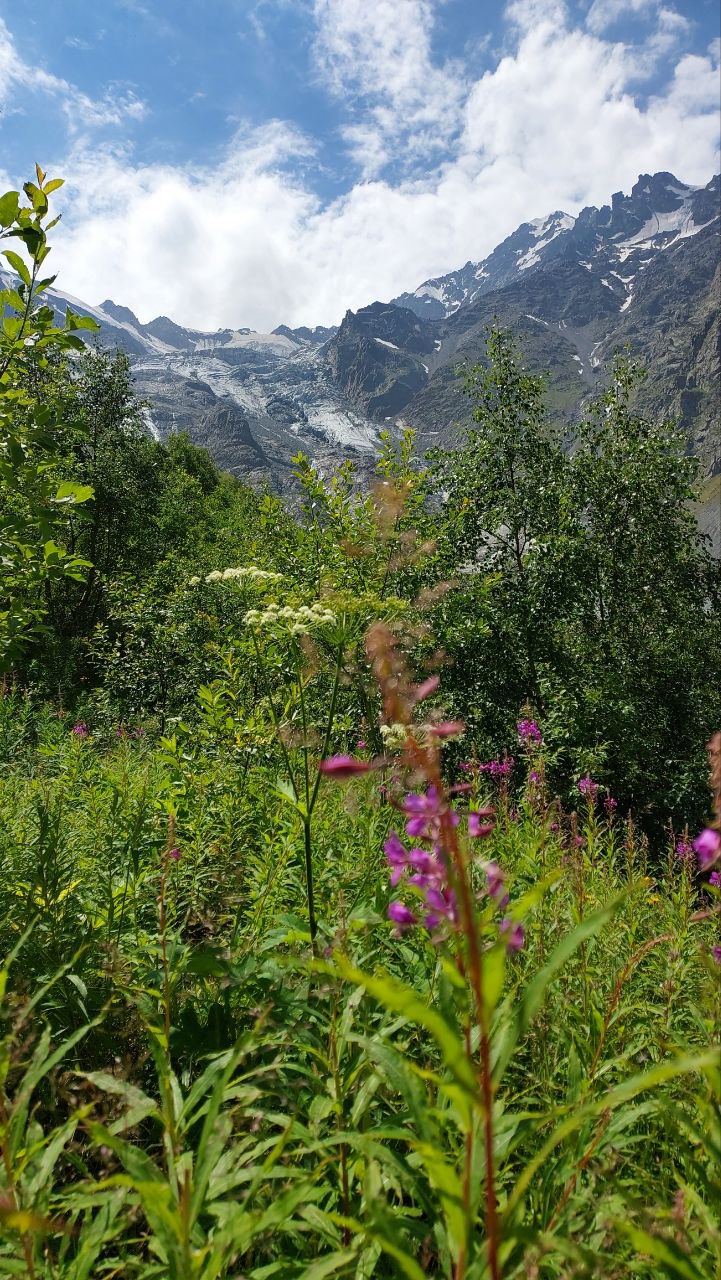Активный тур. Идем в горы за историей и вдохновением Кавказа (26/40)