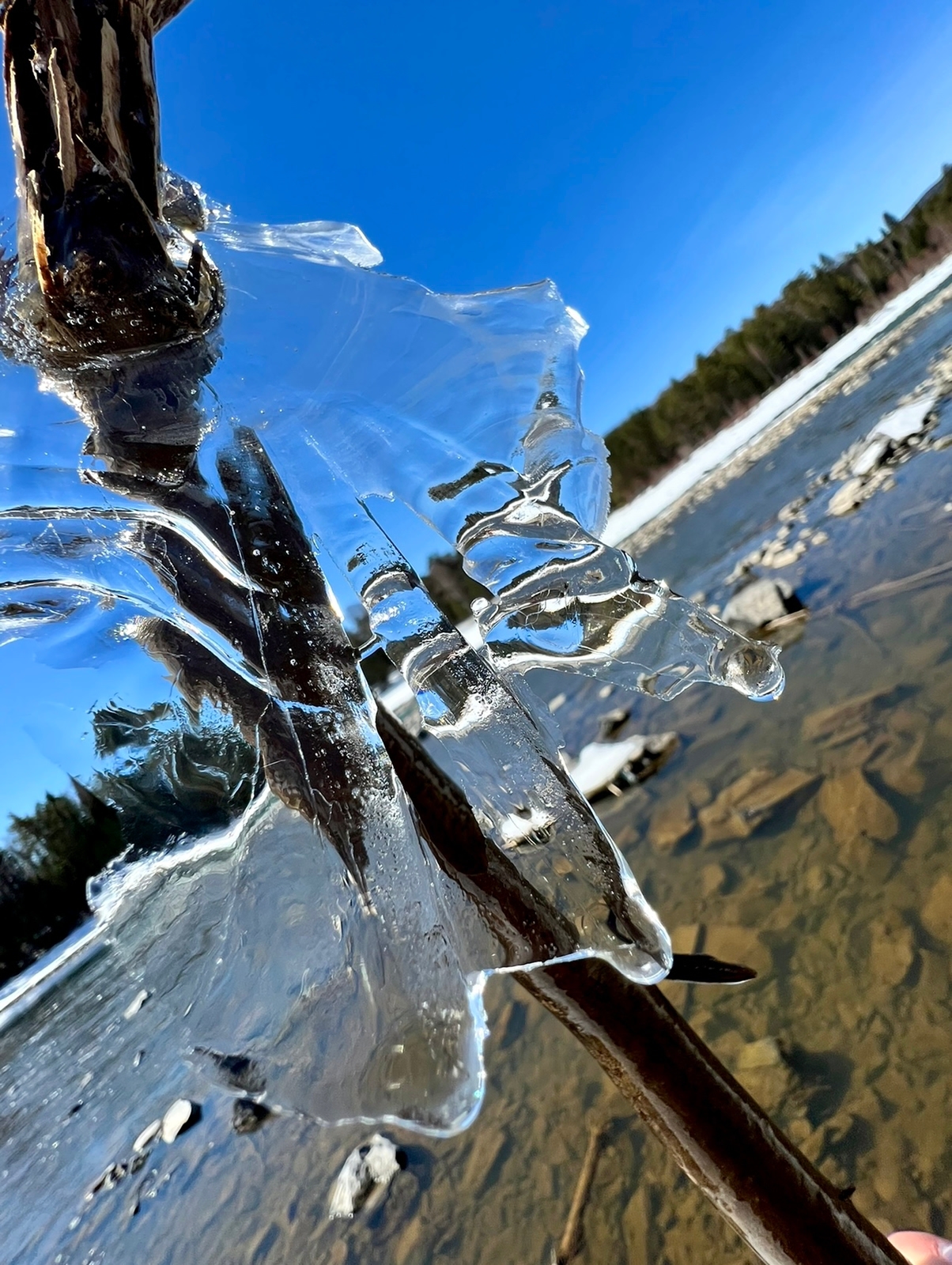 Алтай Голд Плюс + ледник Актру (кольцевой маршрут, для групп 2-6 чел.) (11/53)