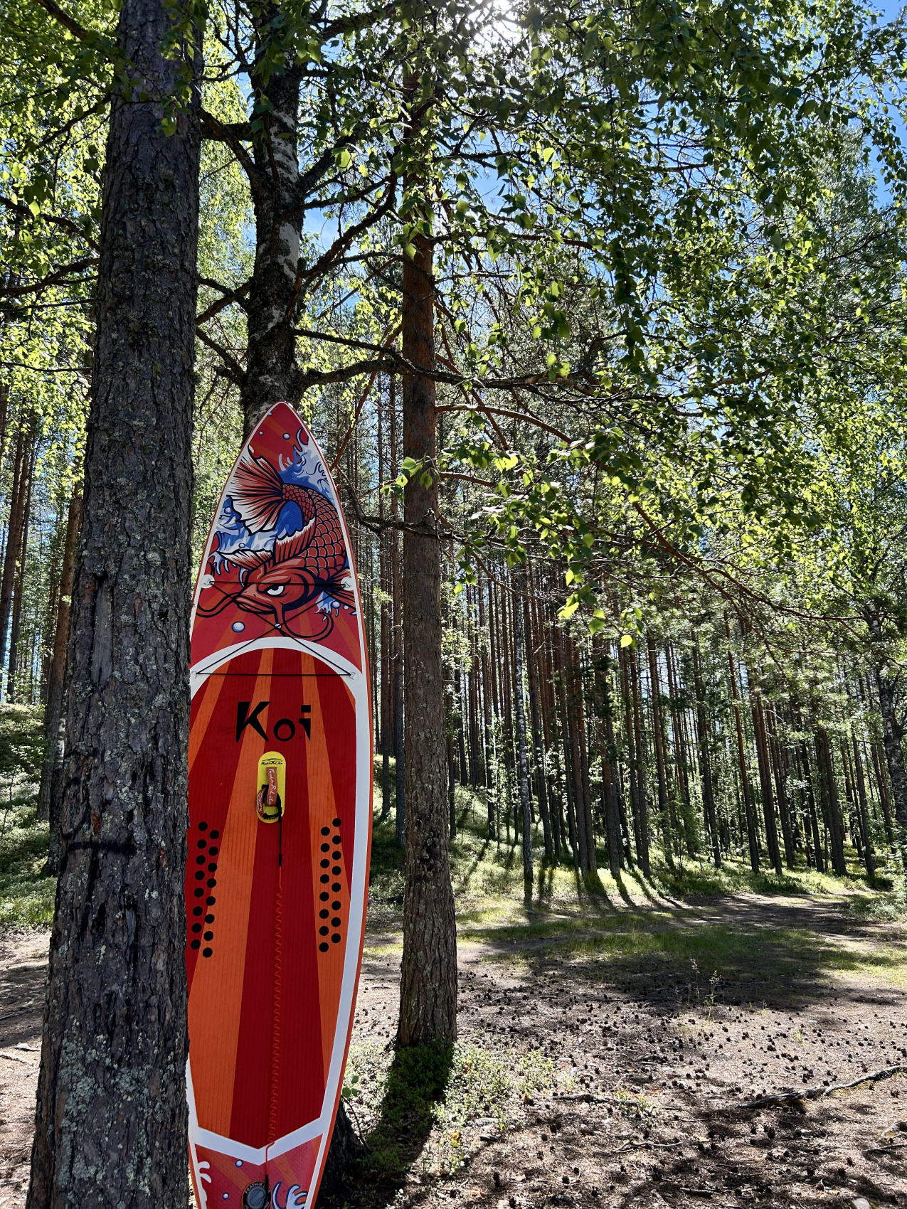 Эксклюзивная Карелия. Комфортный тур по первозданным местам (14/42)