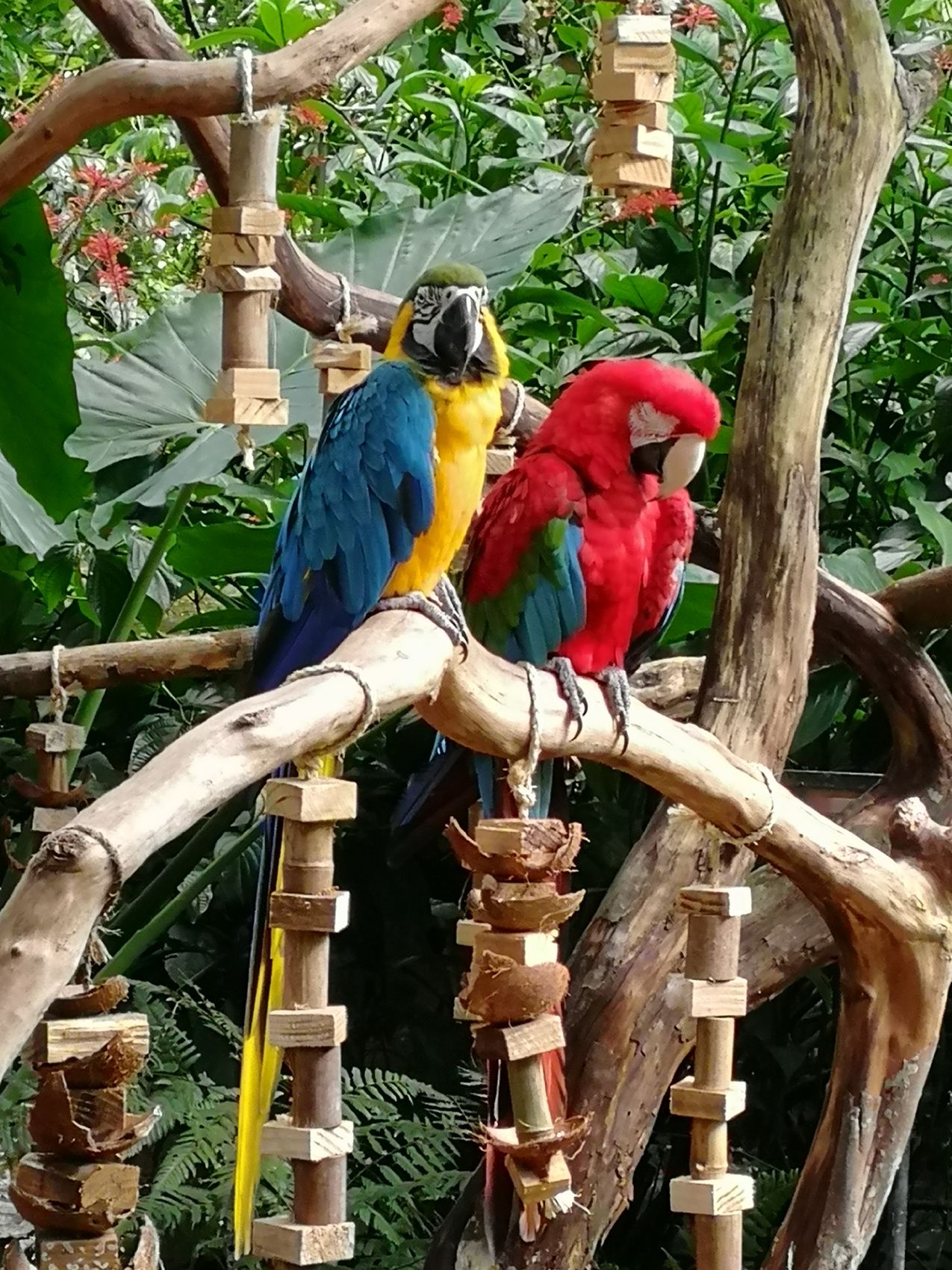 Бразилия: Рио, песчаные дюны, водопады Игуасу за 11 дней (24/72)