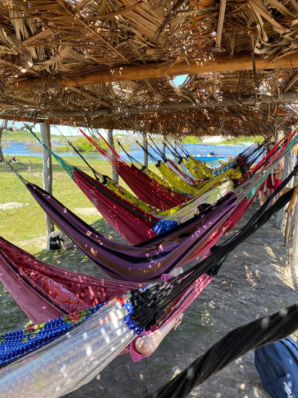 Бразилия: Рио, песчаные дюны, водопады Игуасу за 11 дней (25/72)