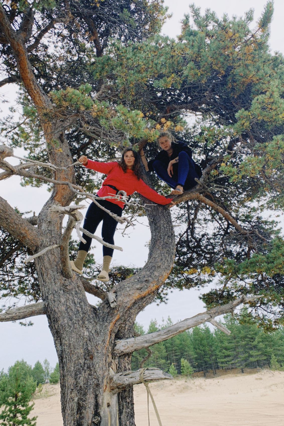 Терский берег и пески северной пустыни! (35/66)