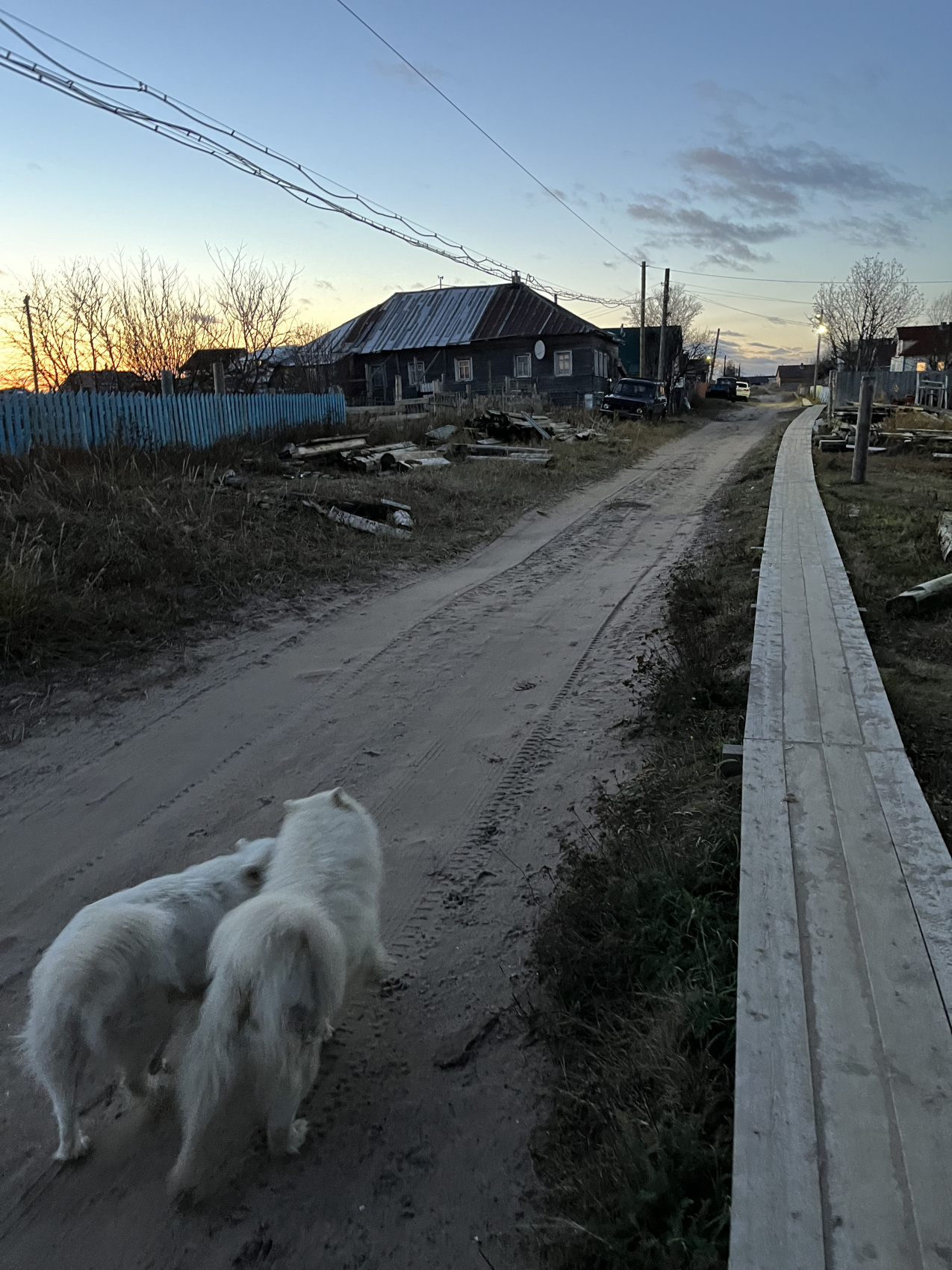 Терский берег и пески северной пустыни! (30/66)