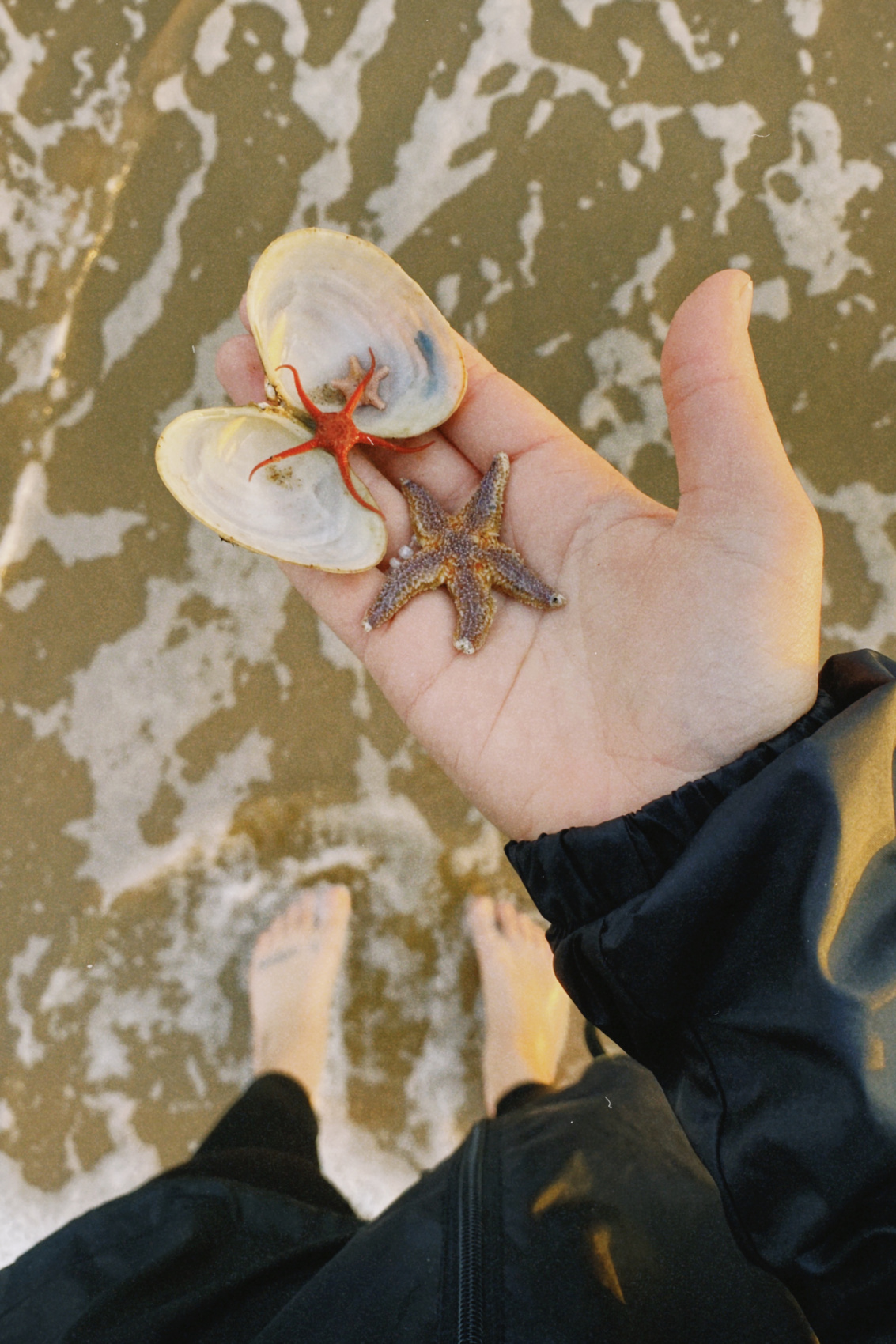 Терский берег и пески северной пустыни! (34/66)