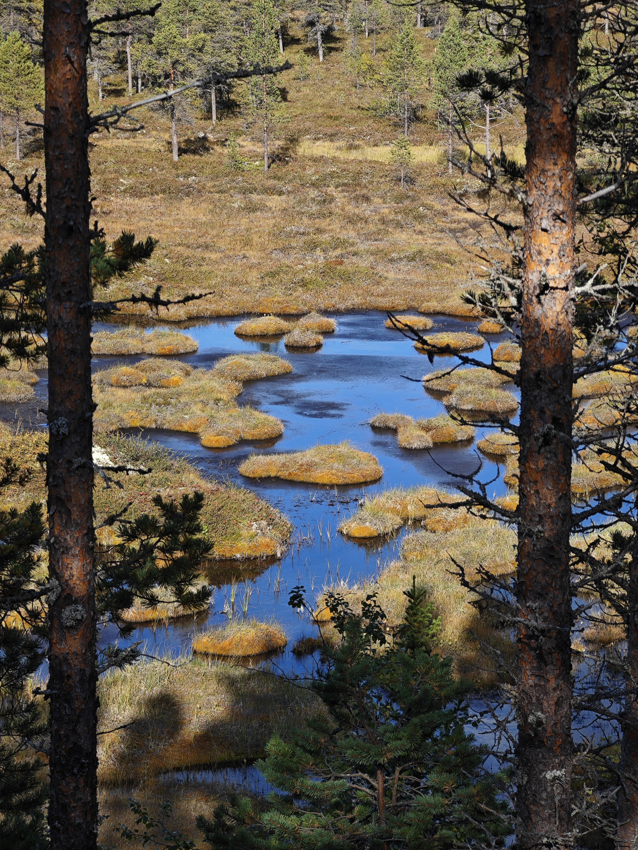 Терский берег и пески северной пустыни! (38/66)