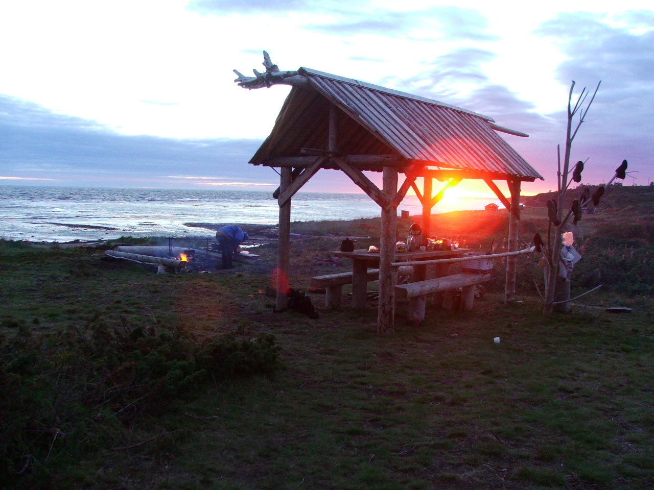 Терский берег и пески северной пустыни! (20/66)