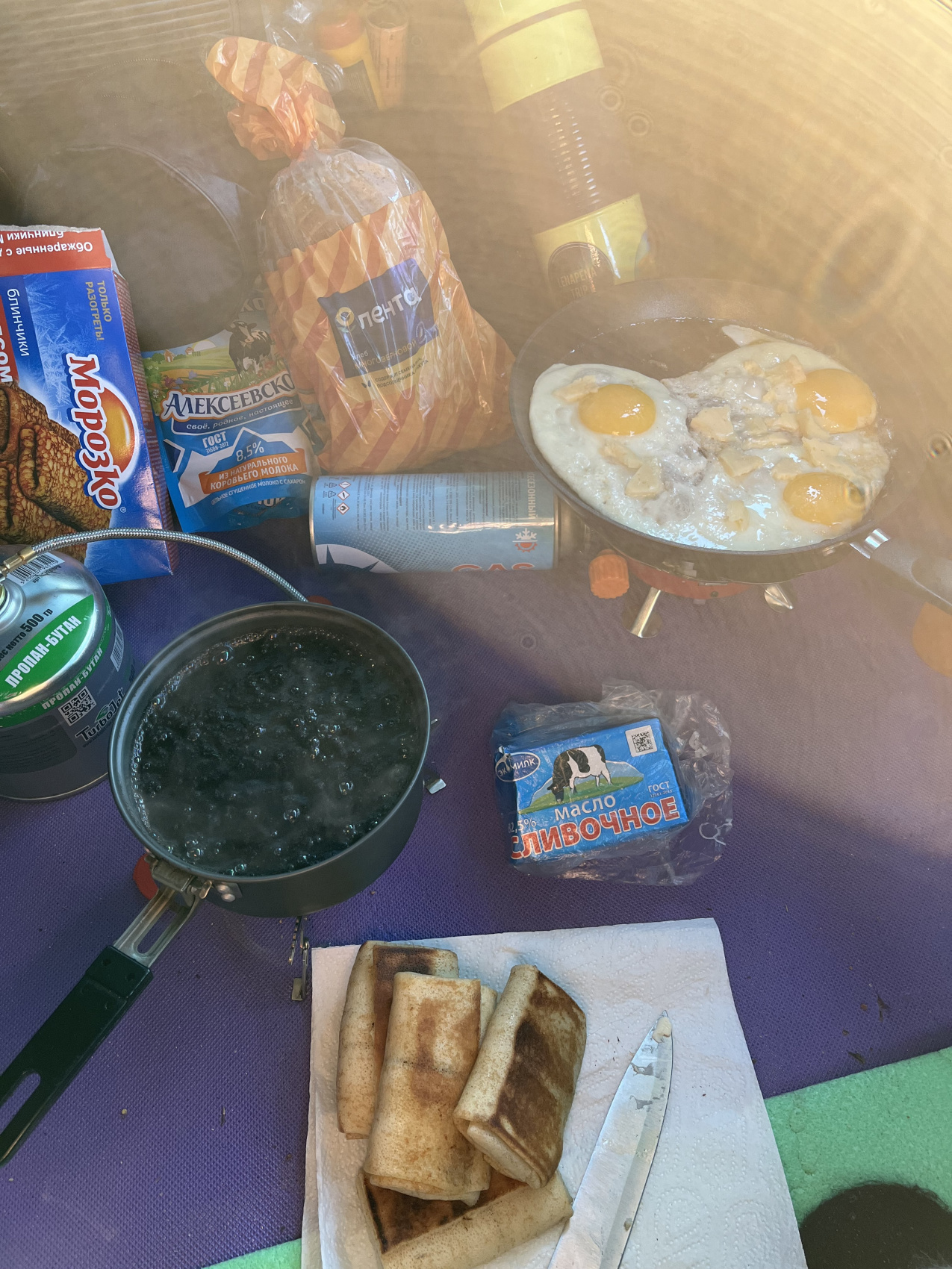 Терский берег и пески северной пустыни! (31/66)