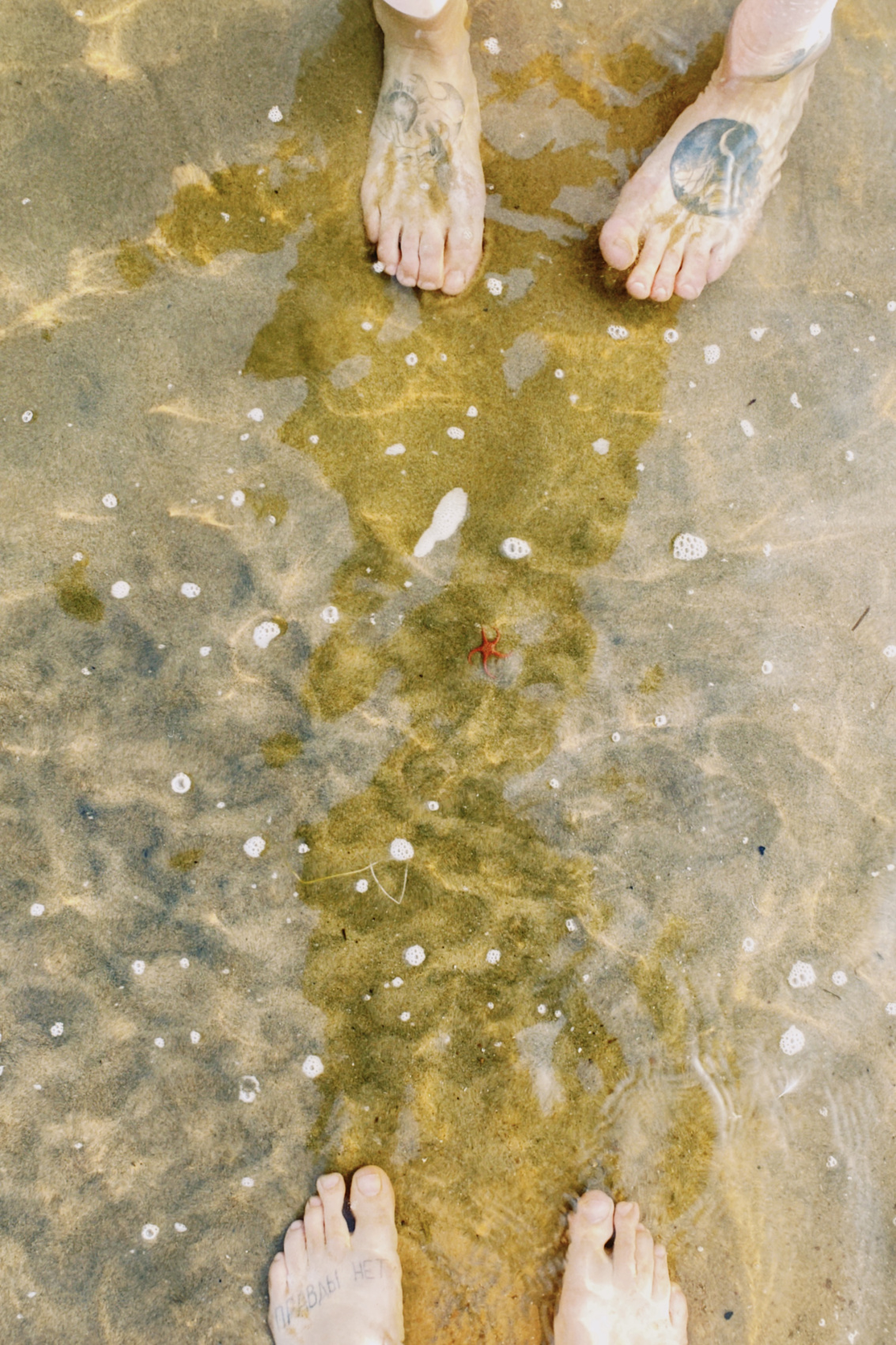 Терский берег и пески северной пустыни! (5/66)