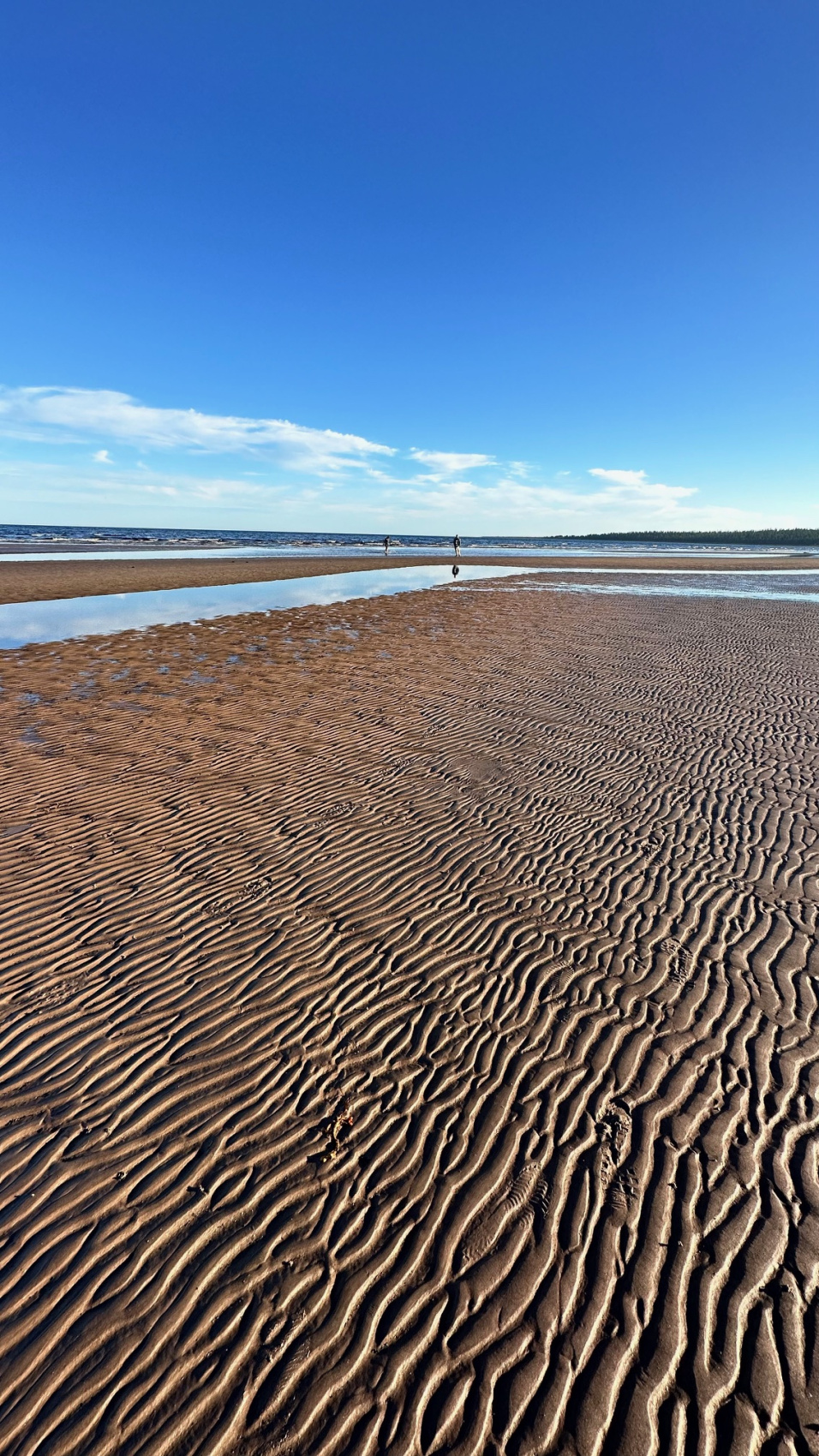 Сокровища Терского берега (10/28)