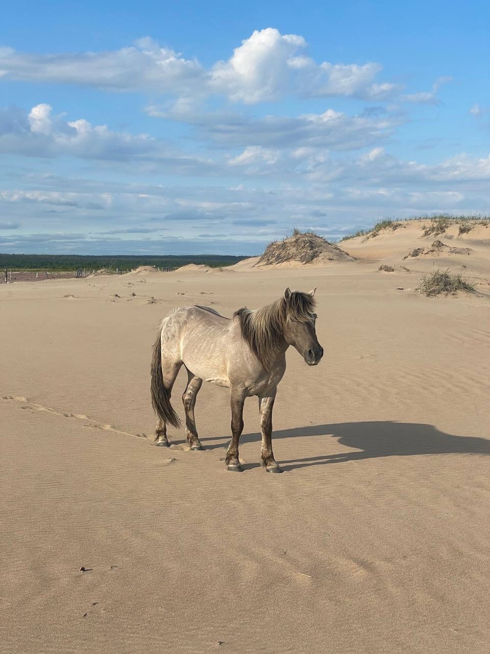 Сокровища Терского берега (4/28)