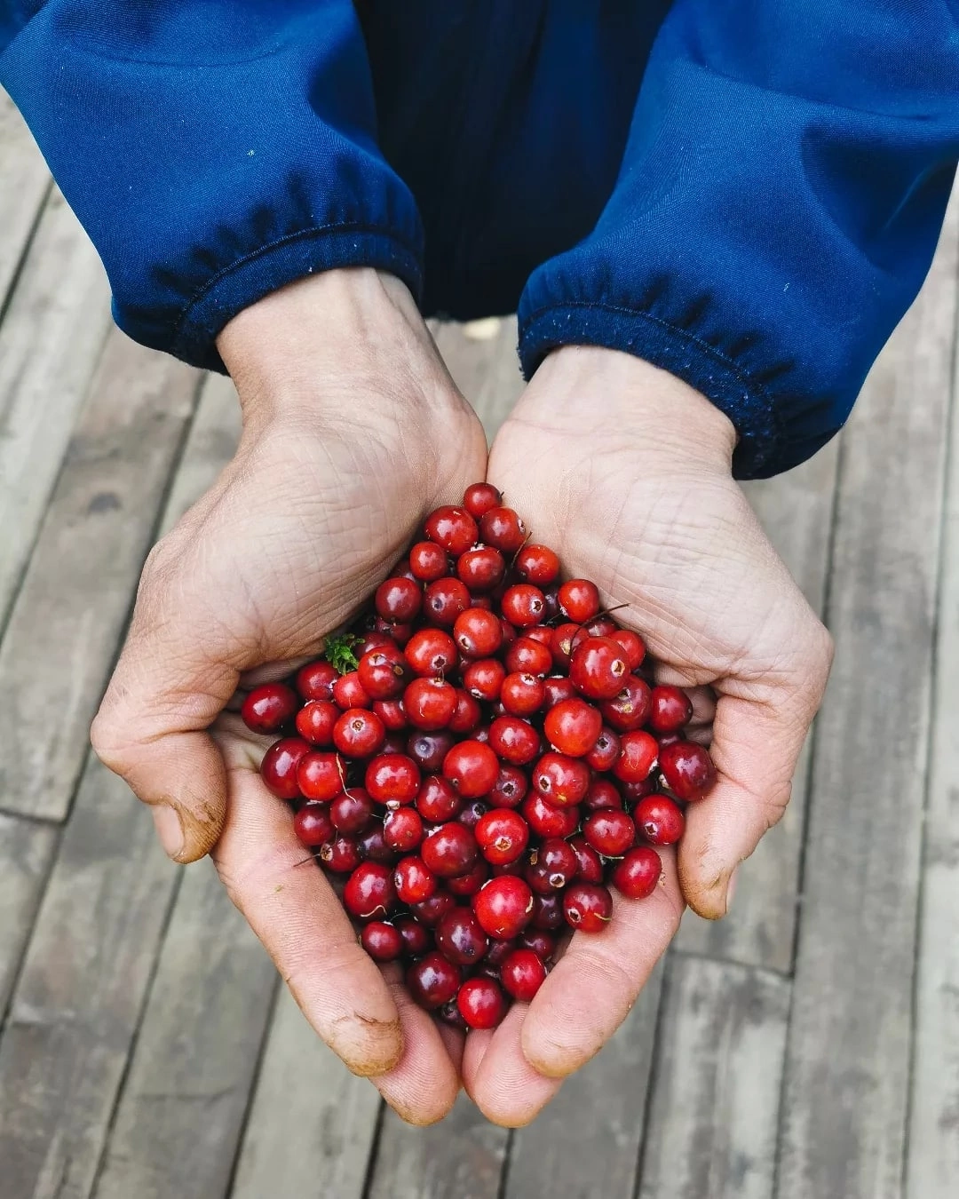 Поход Большая Валдайская тропа с палатками (9/25)