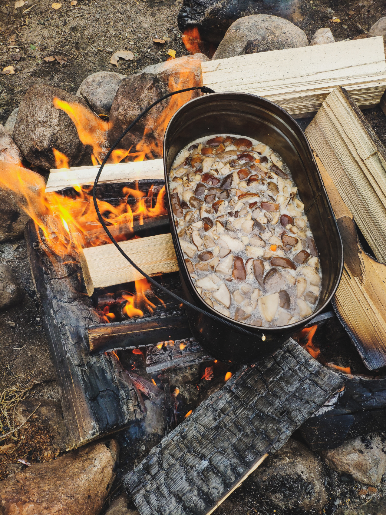 Поход Большая Валдайская тропа с палатками (10/25)