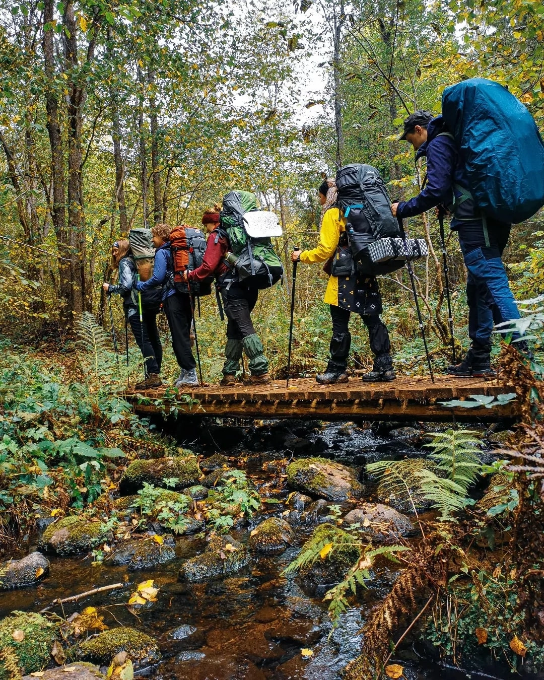 Поход Большая Валдайская тропа с палатками (6/25)