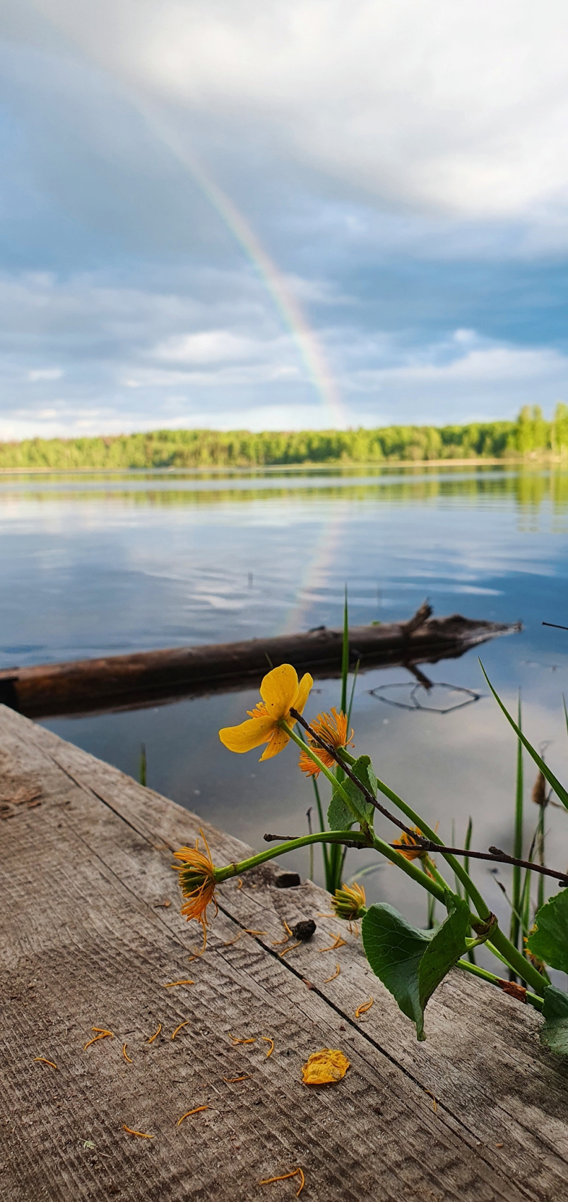Поход Большая Валдайская тропа с палатками (8/25)