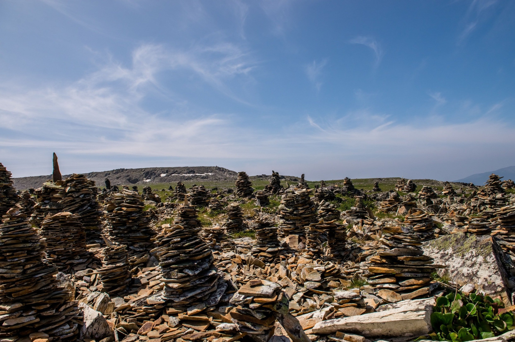 Конный тур к Каракольским озерам и нижняя Катунь (3/22)