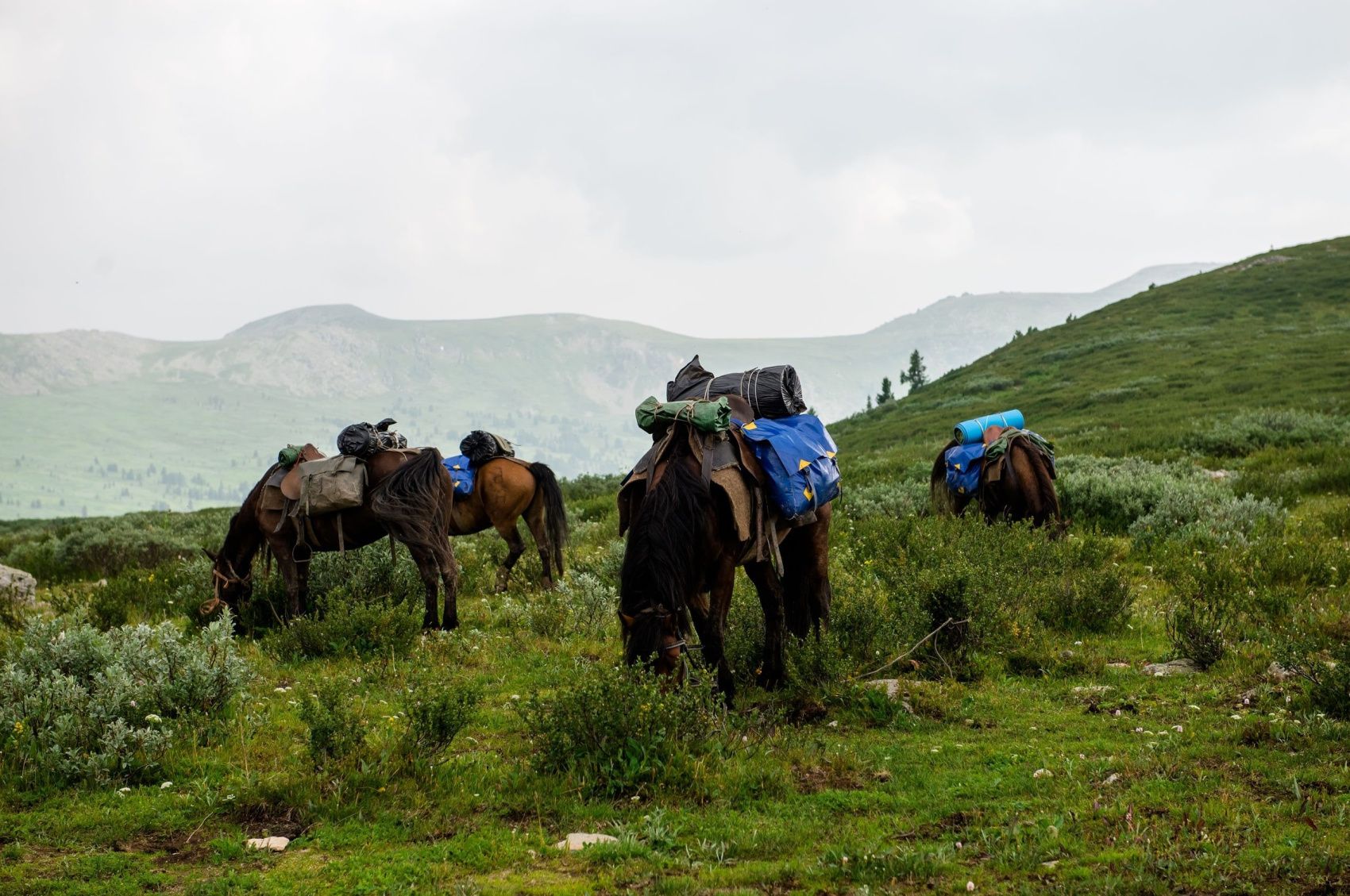 Конный тур к Каракольским озерам и нижняя Катунь