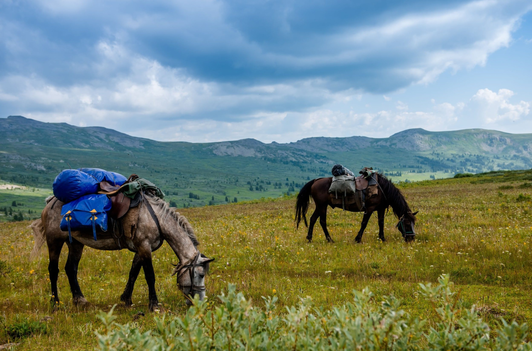 Конный тур к Каракольским озерам и нижняя Катунь (13/22)