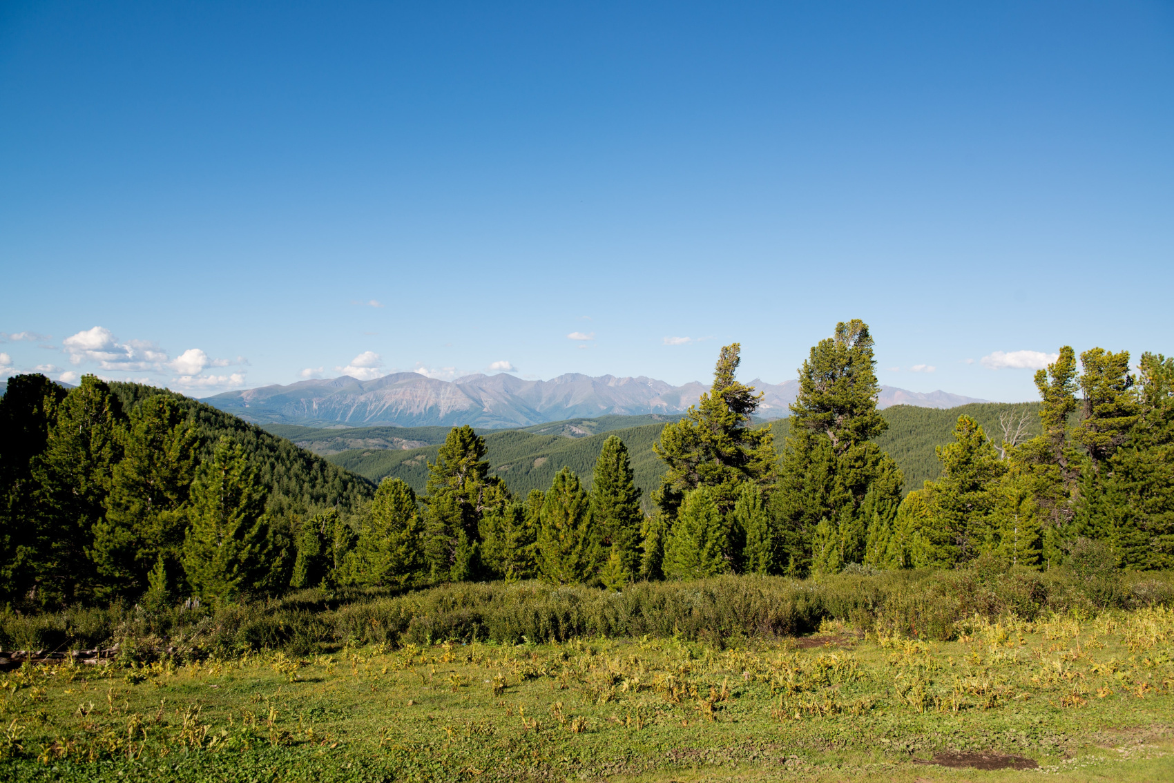 Пеший тур к Шавлинским озерам и средняя Катунь (6/18)