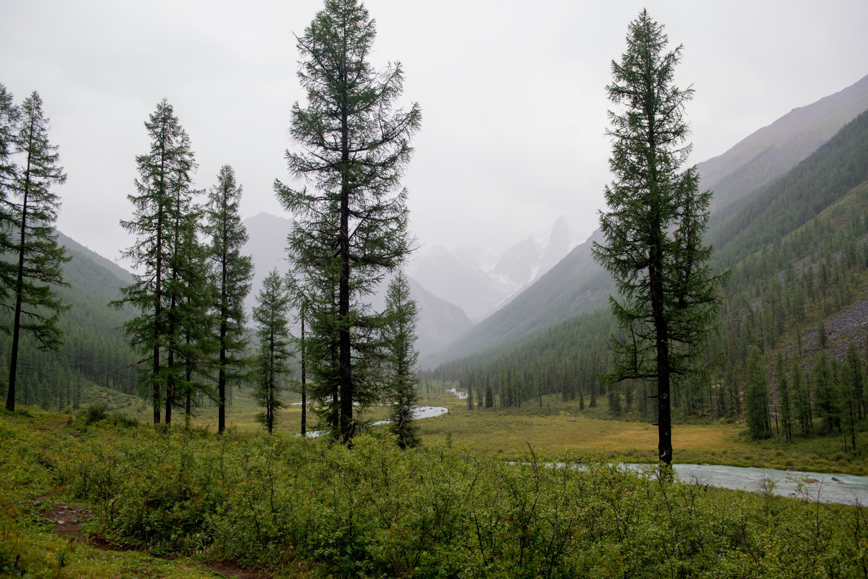 Пеший тур к Шавлинским озерам и средняя Катунь (8/18)