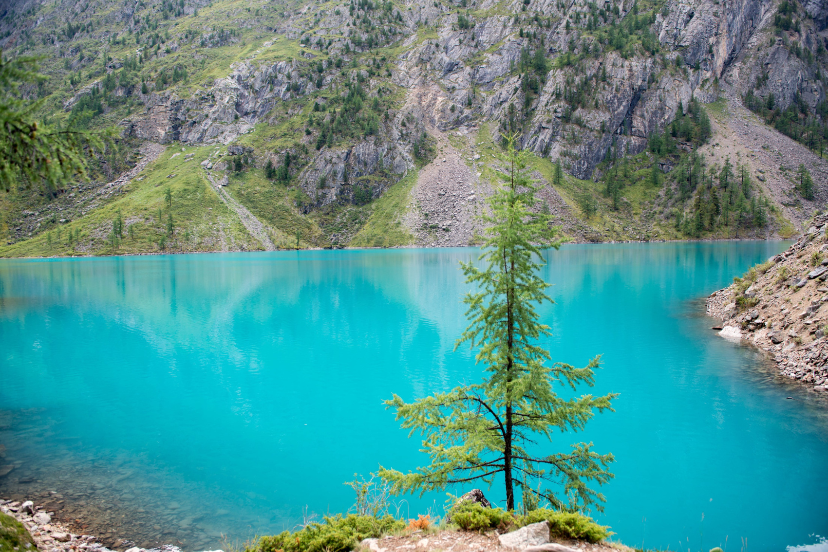 Пеший тур к Шавлинским озерам и средняя Катунь (12/18)