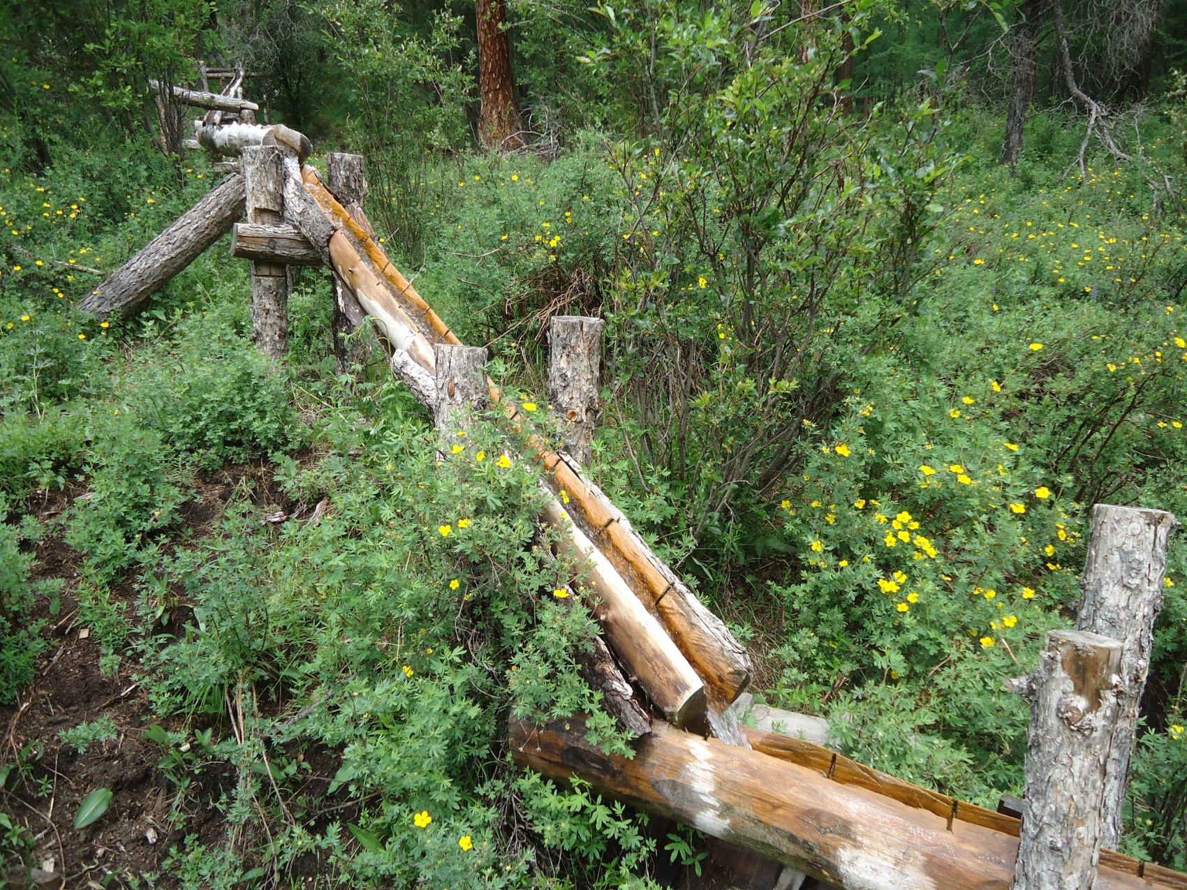 В долину Маашей, озерам Каракабак и рафтинг по Чуе (2/21)