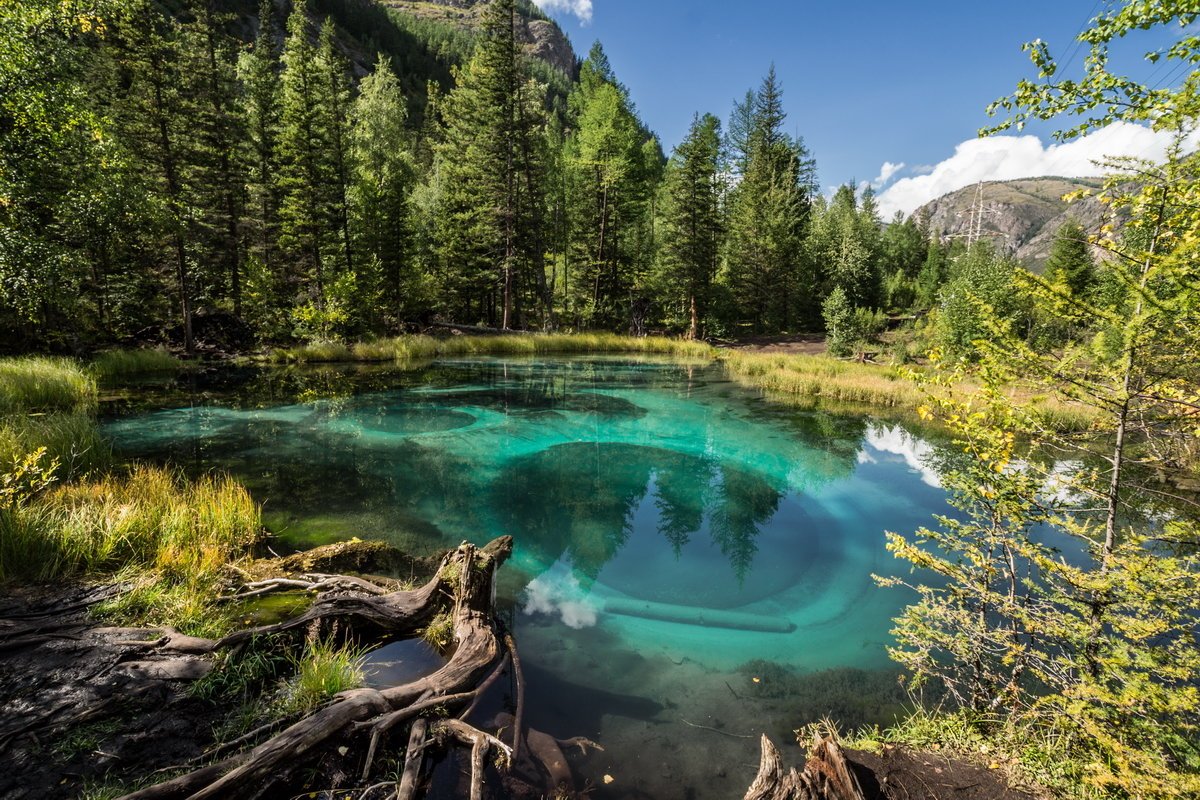 Побывать на Марсе (4/11)