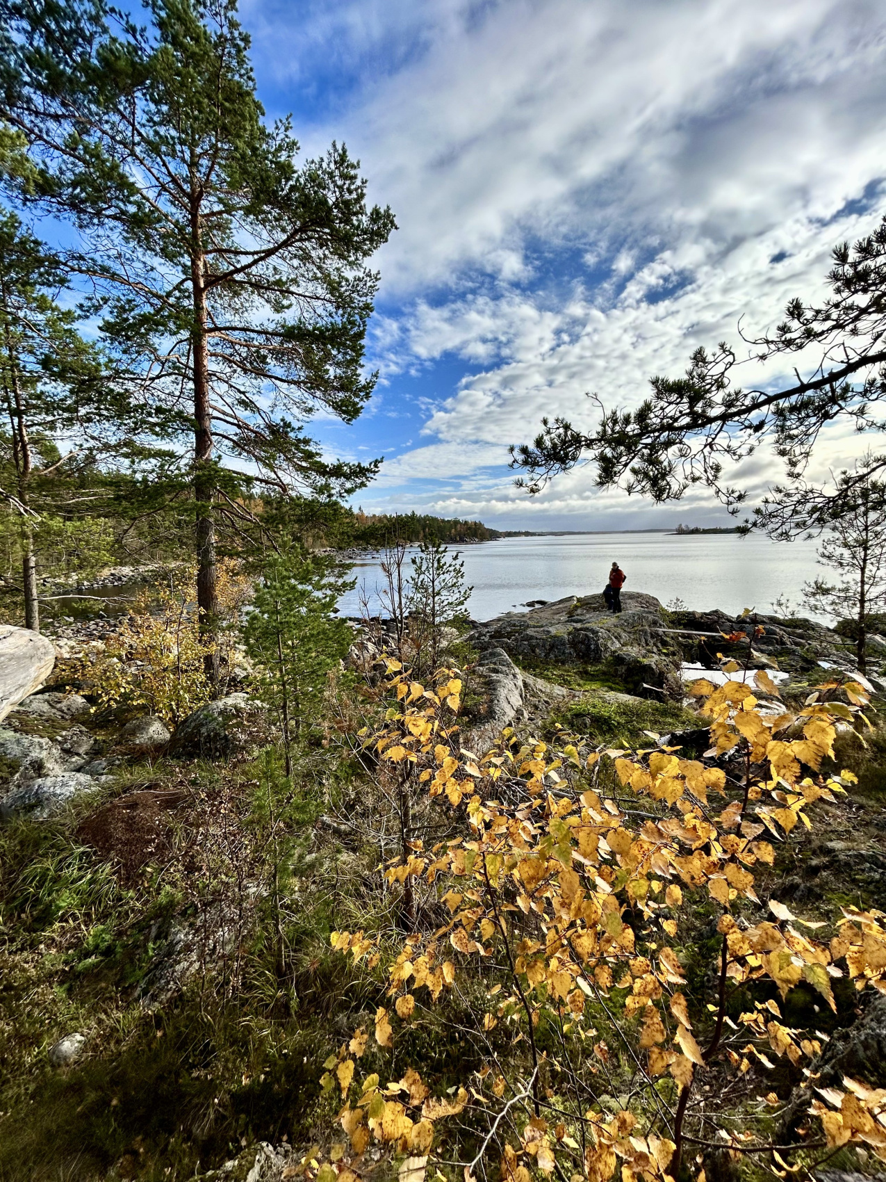 Вся Карелия. Топ места, 5 дней. Комфортные Барнхаус - домики (26/68)