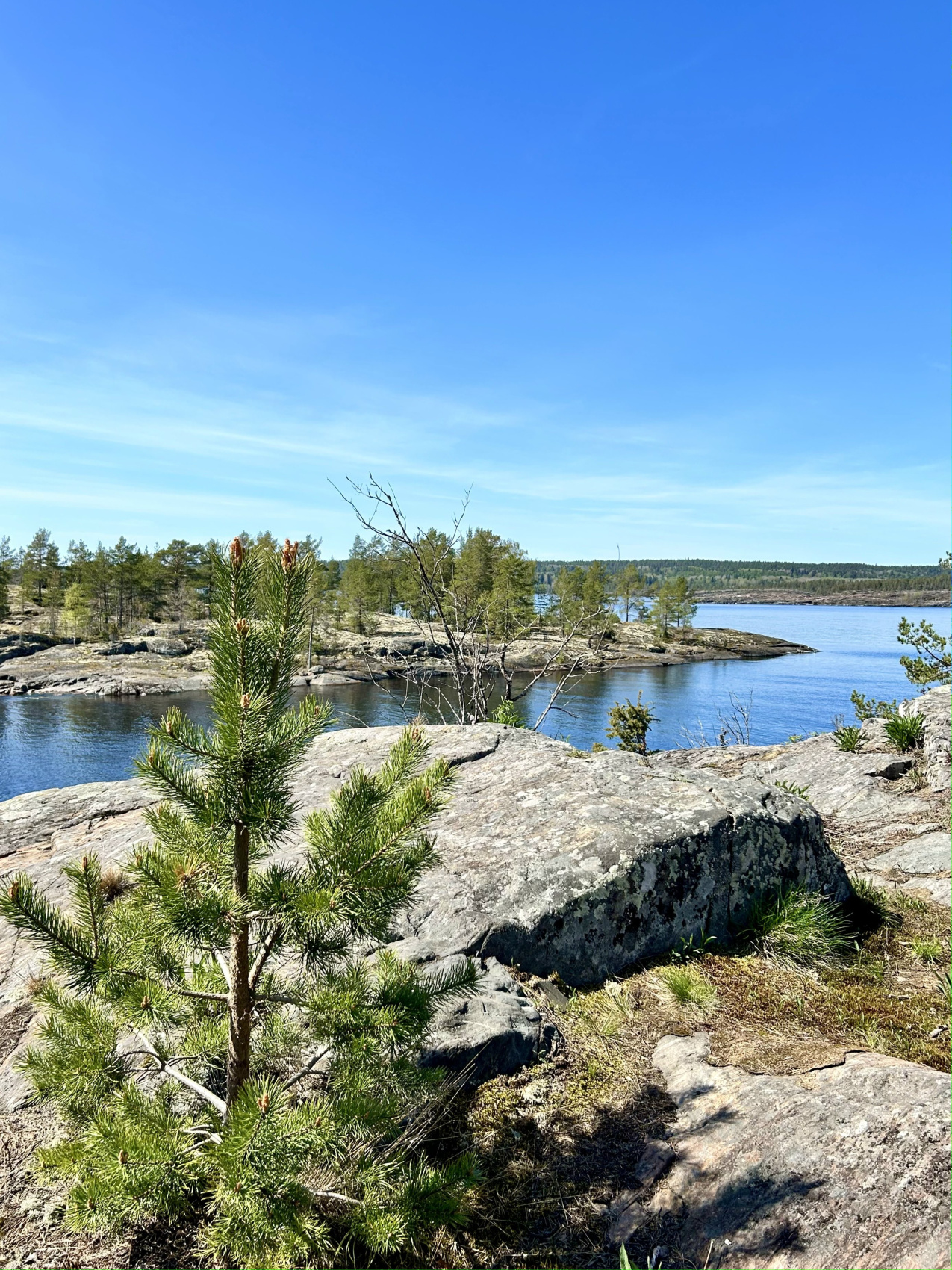 Вся Карелия. Топ места, 5 дней. Комфортные Барнхаус - домики (34/68)