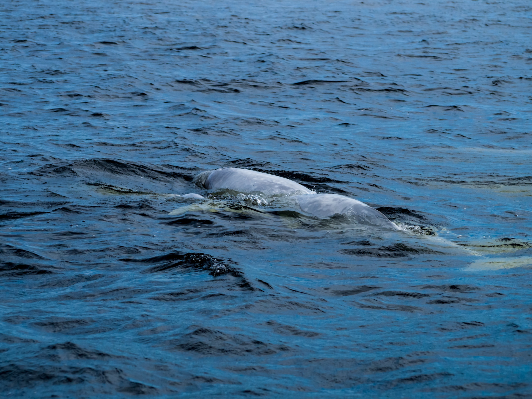 На Соловки вместе с фотографом (9/21)